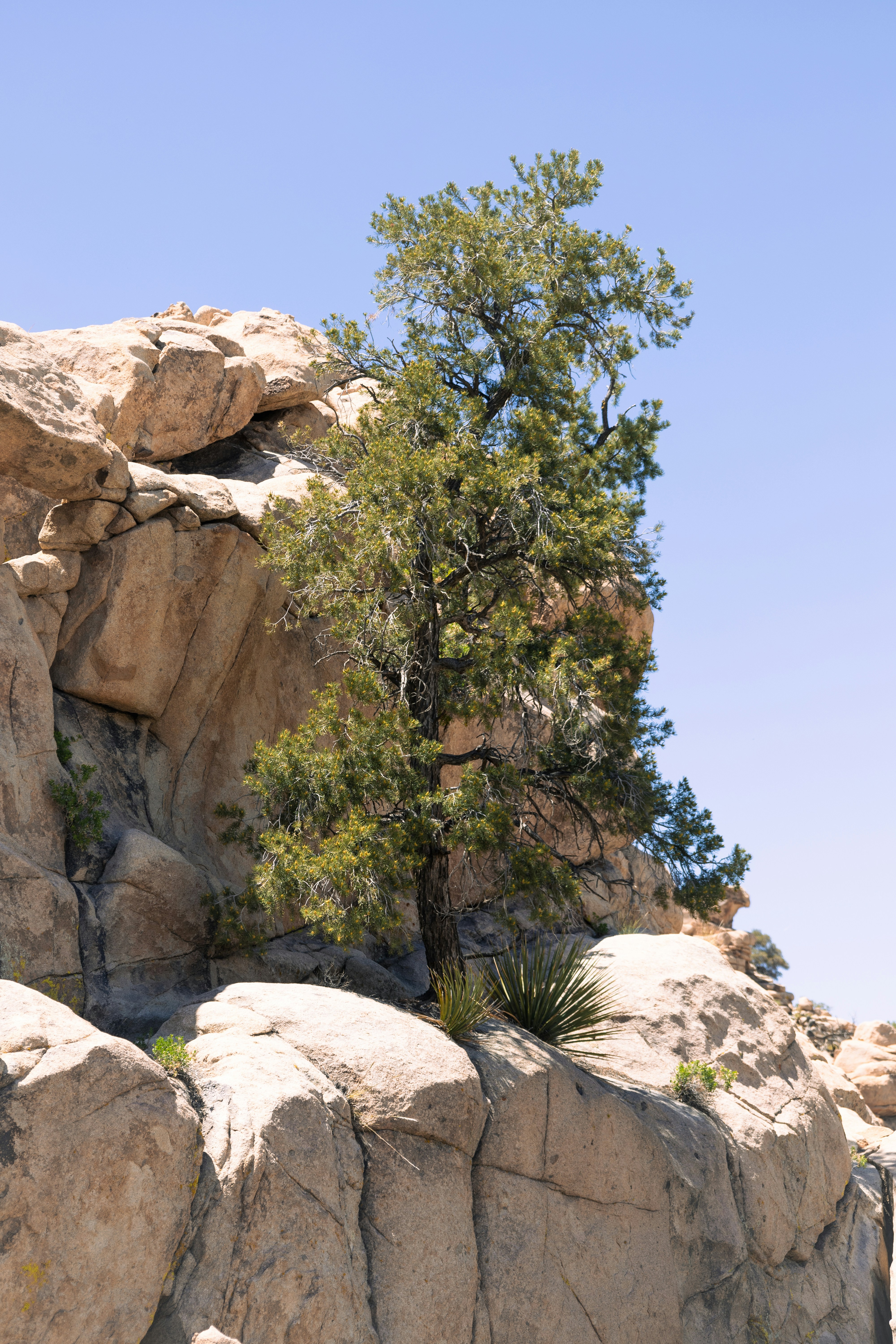 Photo by vincentyuan87