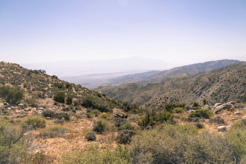 Mount Tamalpais State Park