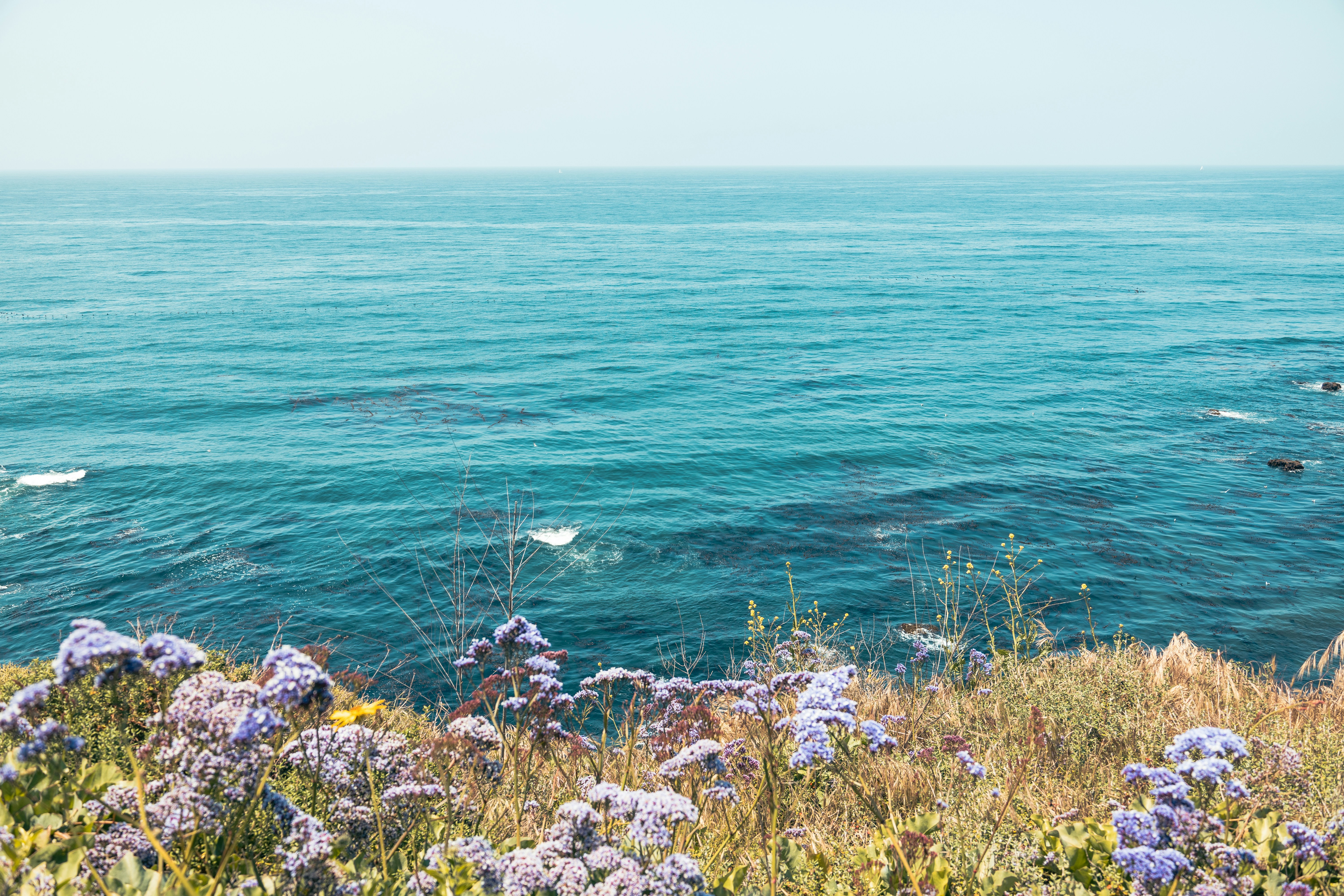 Photo by vincentyuan87