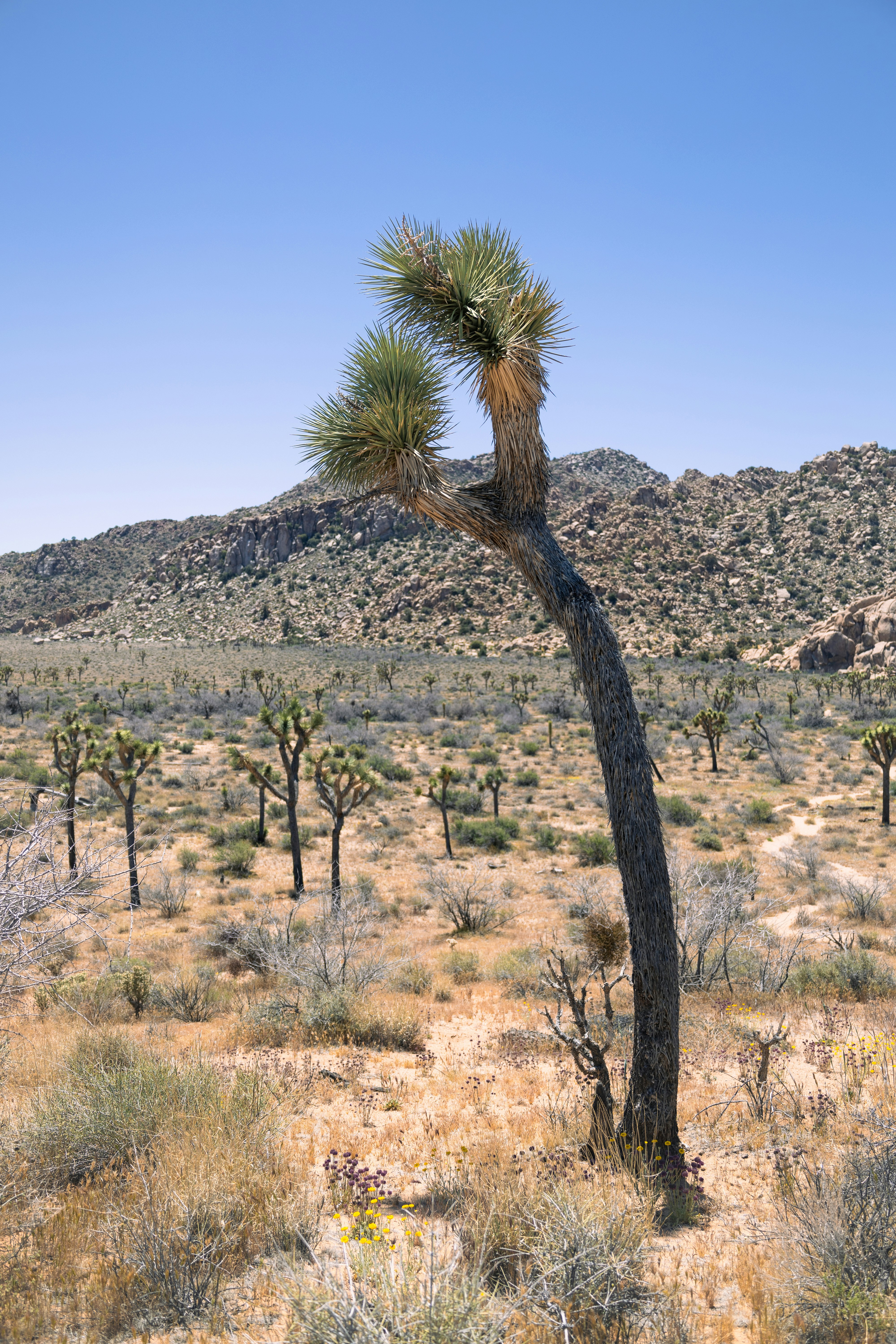 Photo by vincentyuan87