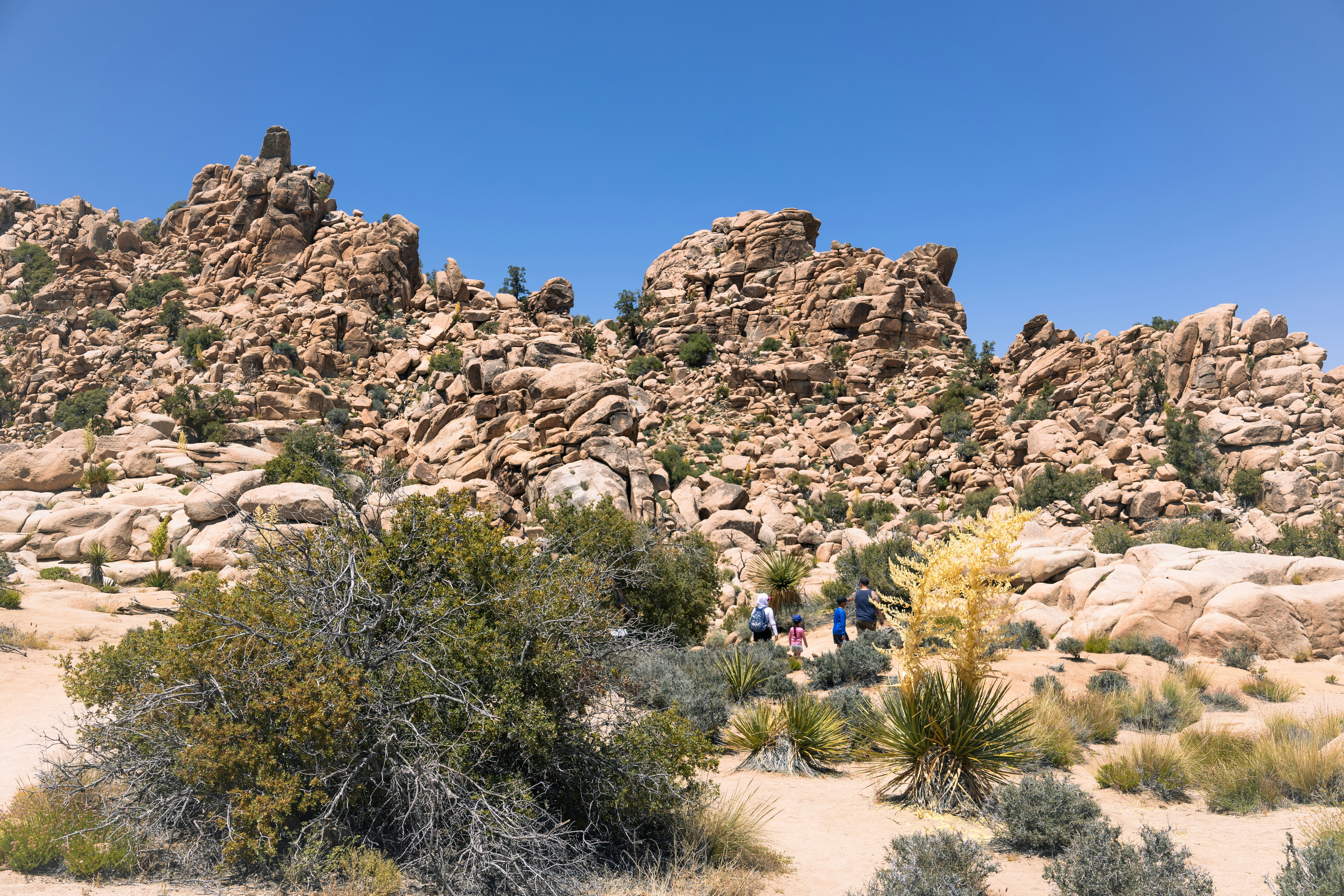 Photo by vincentyuan87