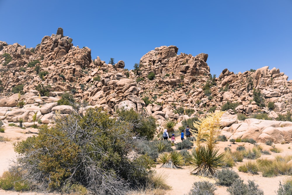 a group of people standing in front of a mountain