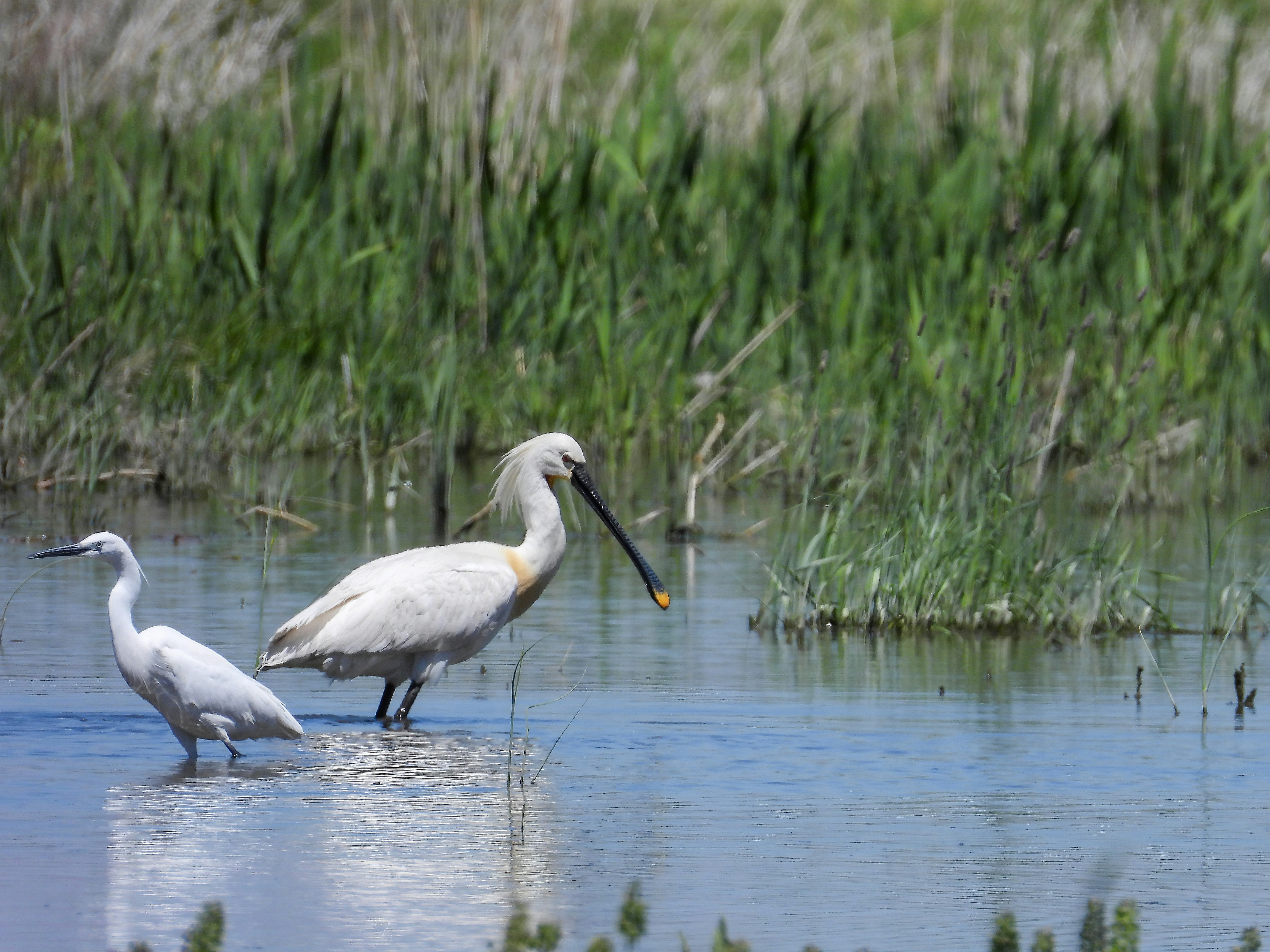 Photo by aliarjmandi