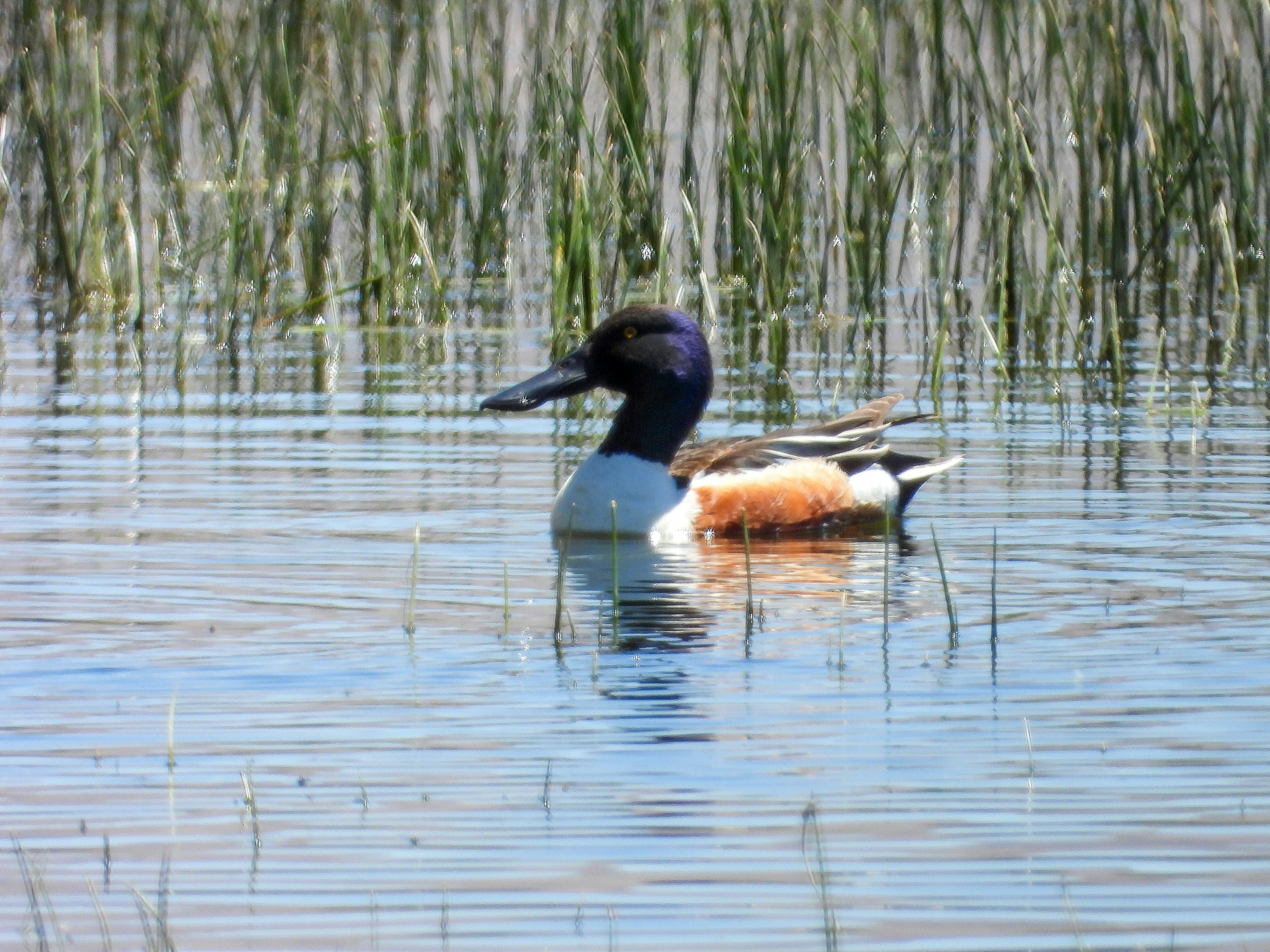 Photo by aliarjmandi