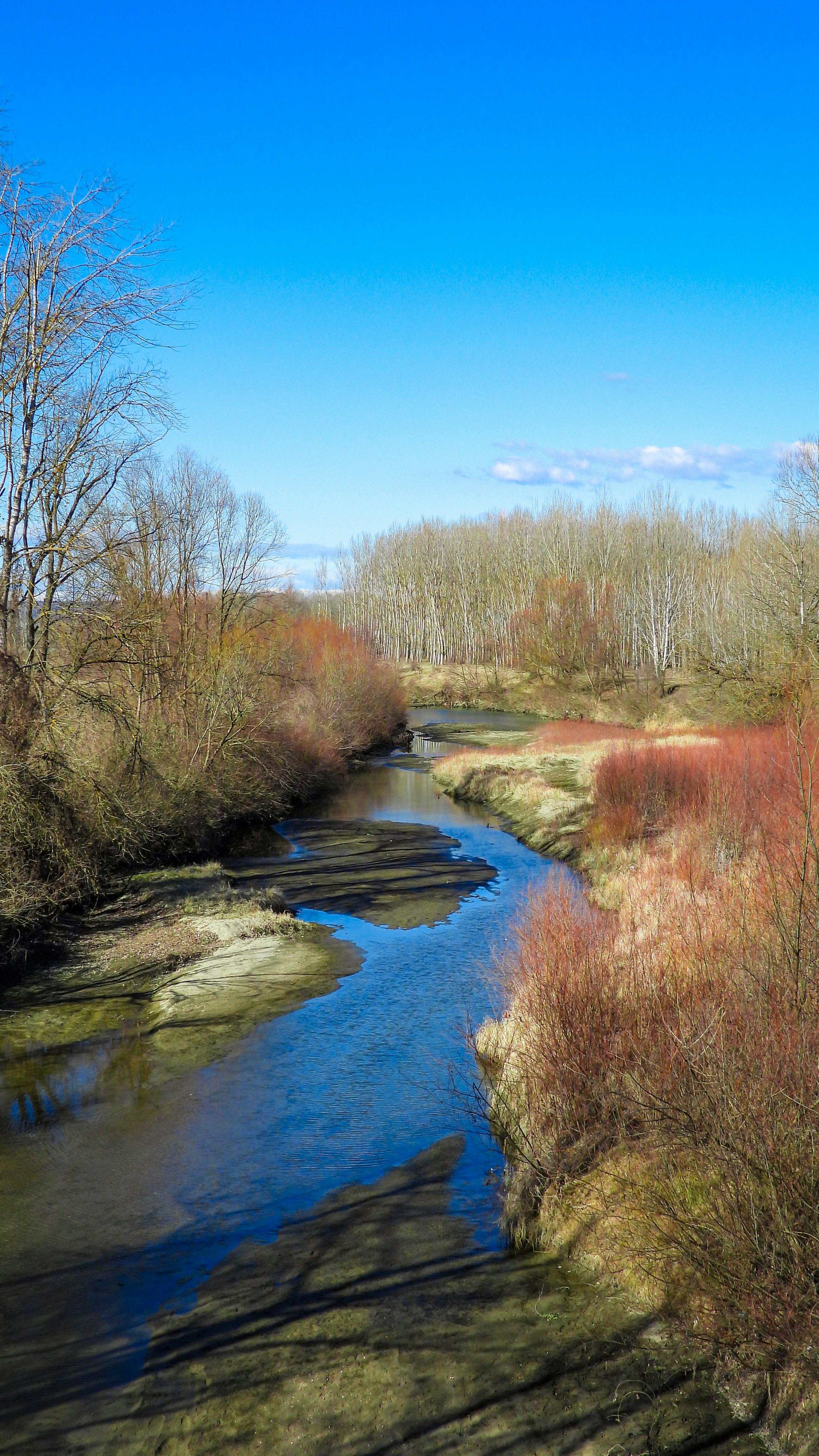 Photo by mariannegret