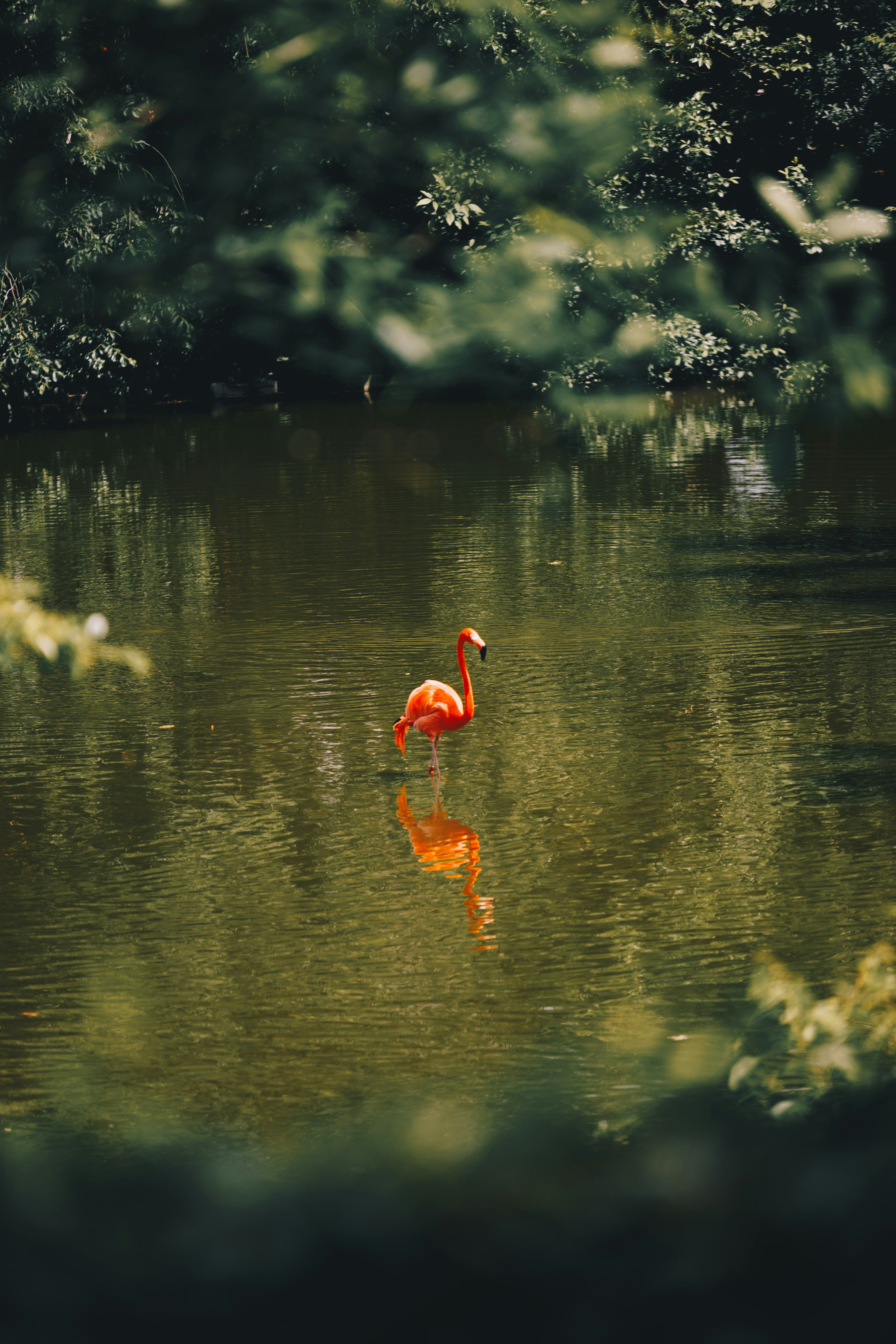 Photo by storywright