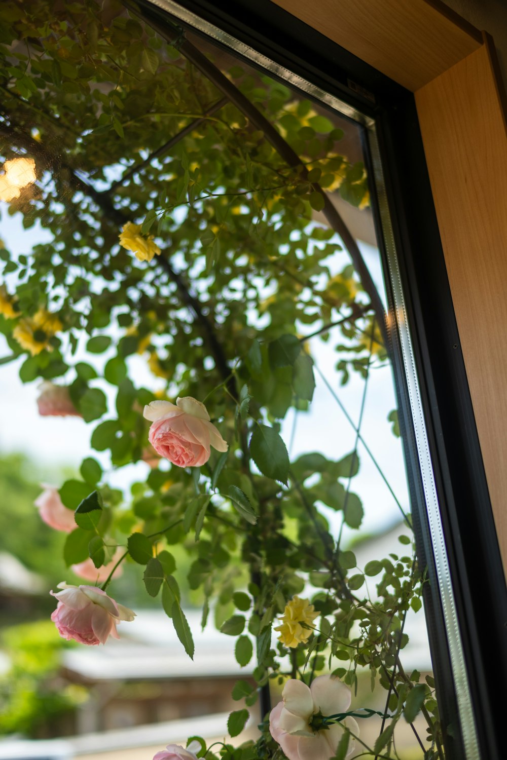 a window with a bunch of flowers on it