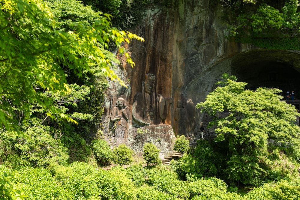 a cave in the middle of a lush green forest
