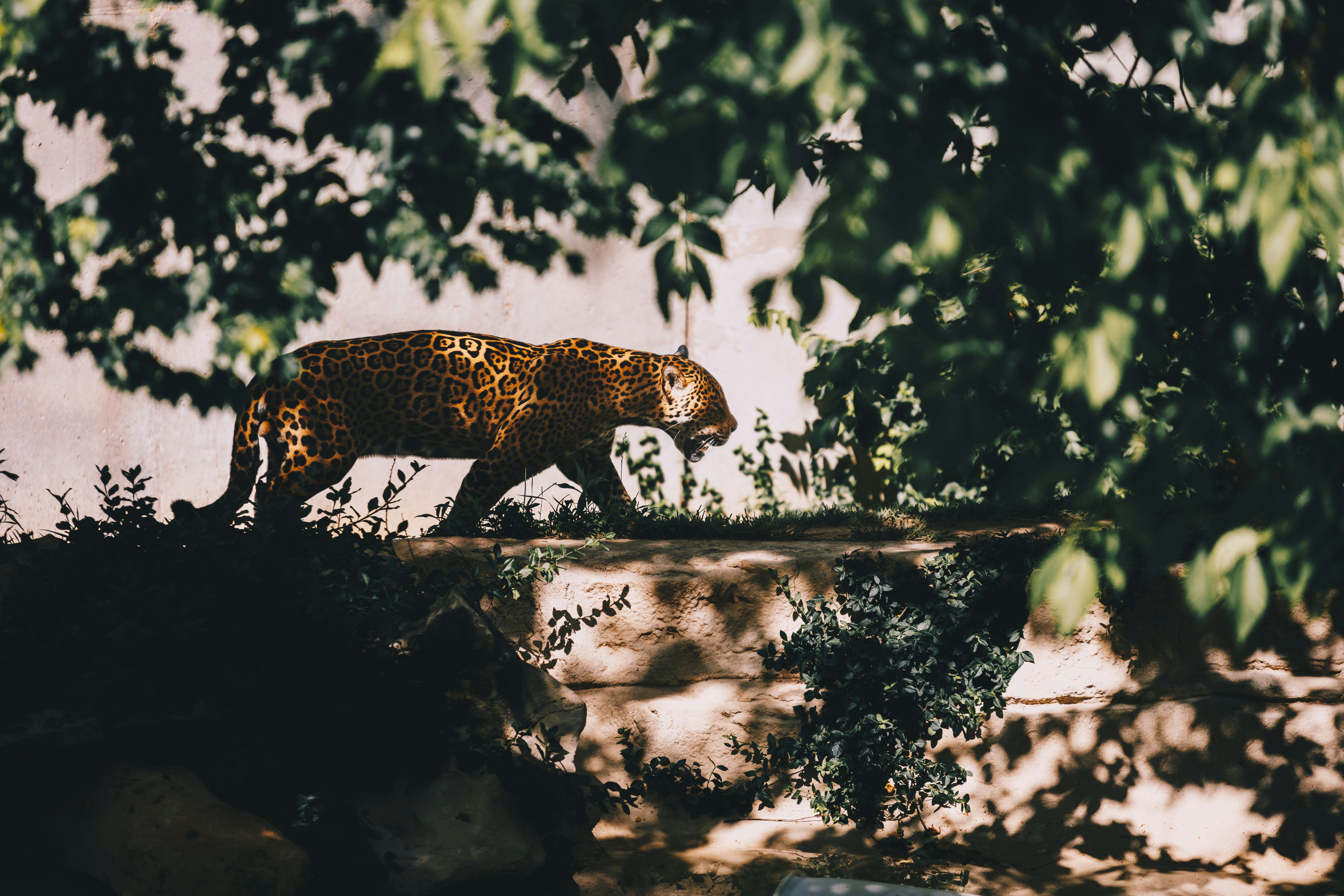 Photo by storywright