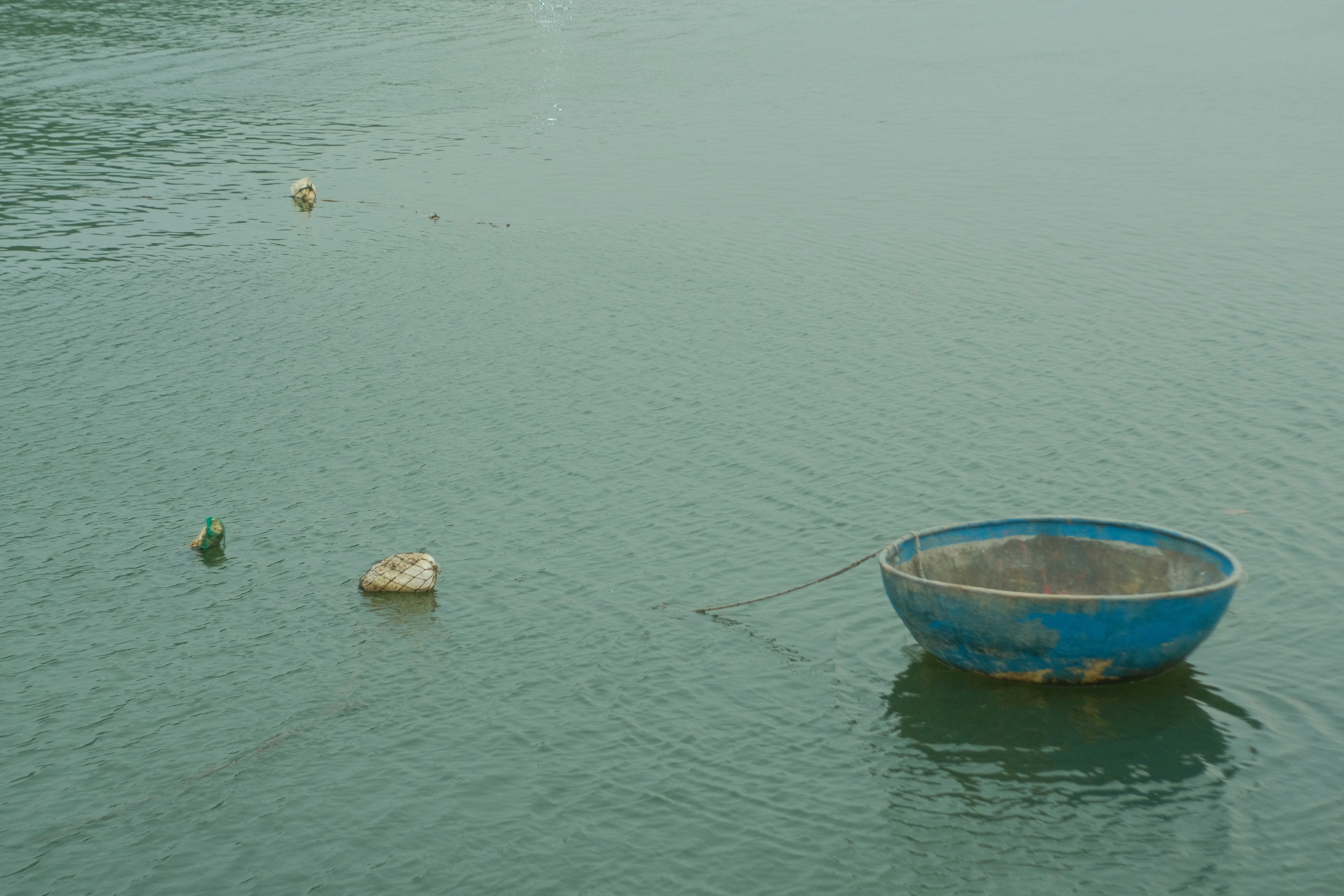 Photo by nguyentdat23