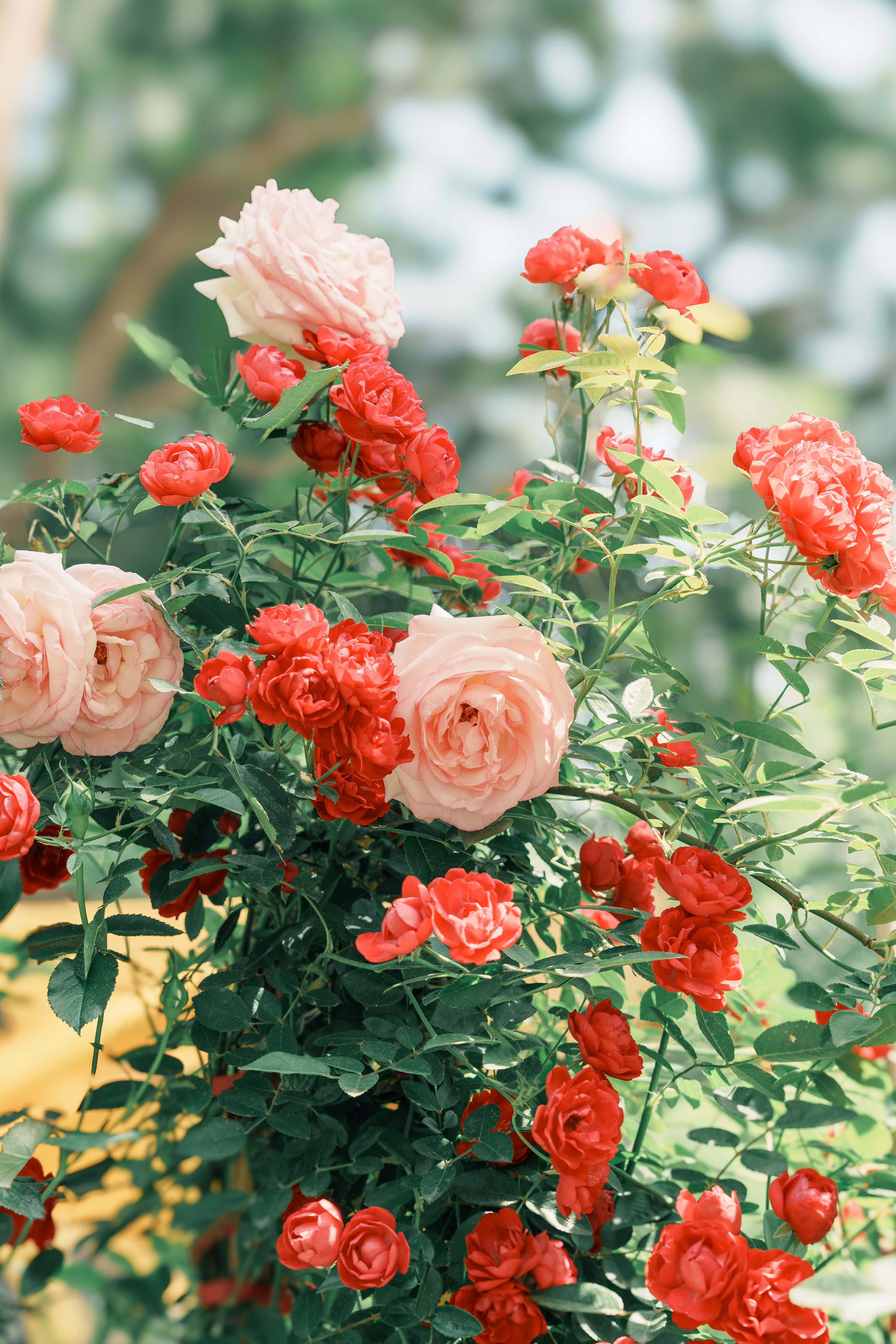 Photo by lizheng_design