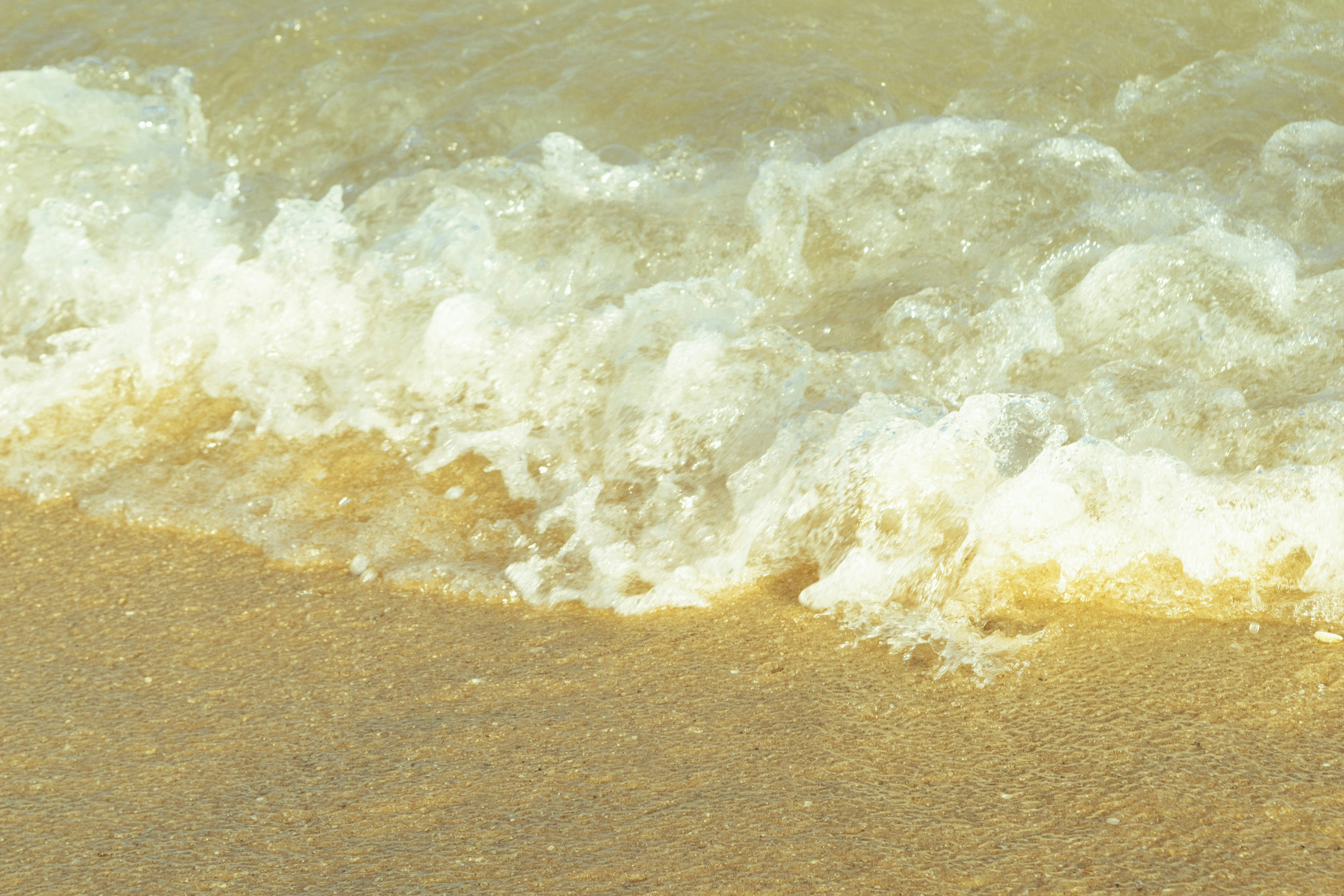 Photo by hoanganh_dreamplanie