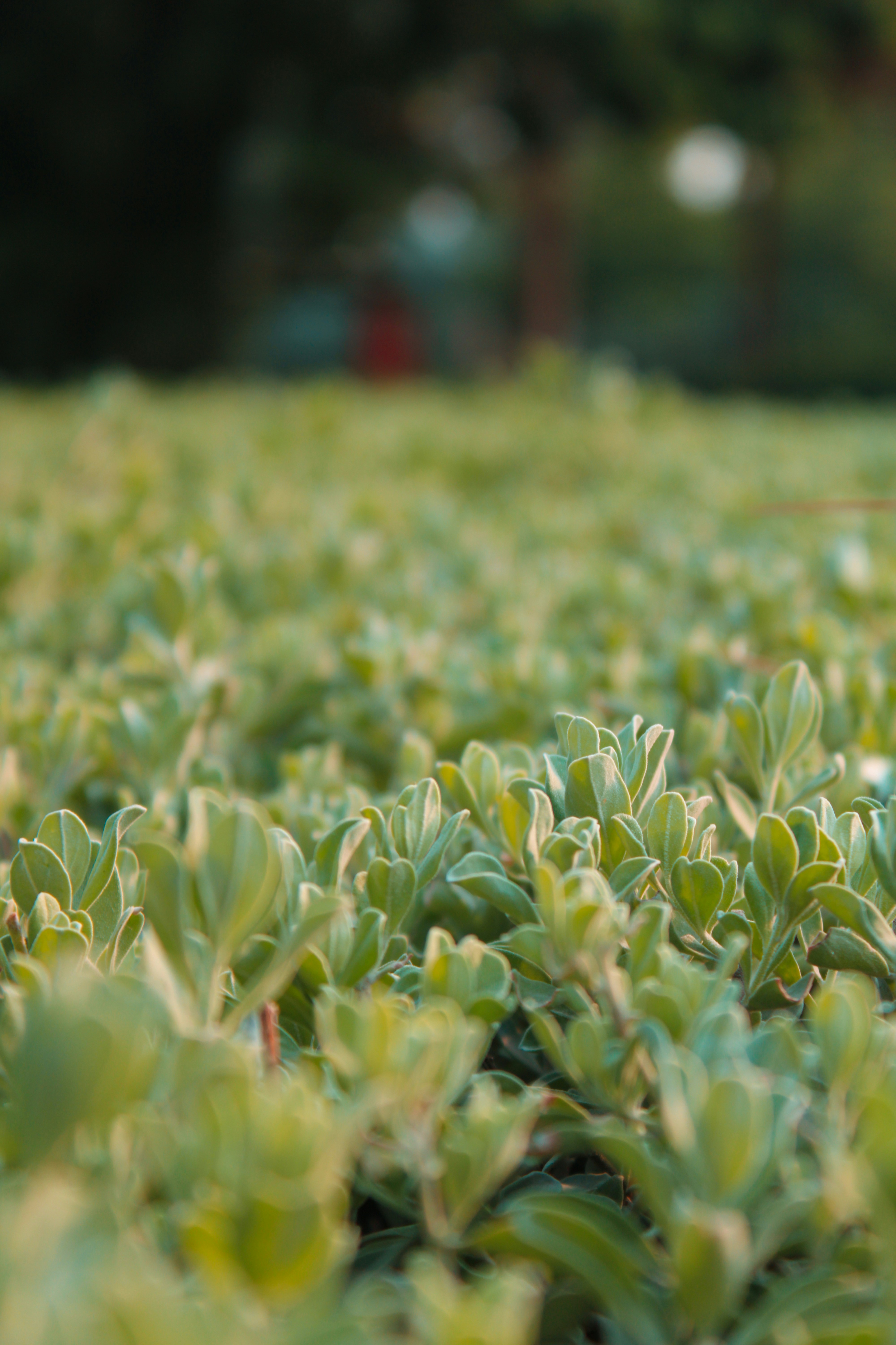 Photo by umararshad_1