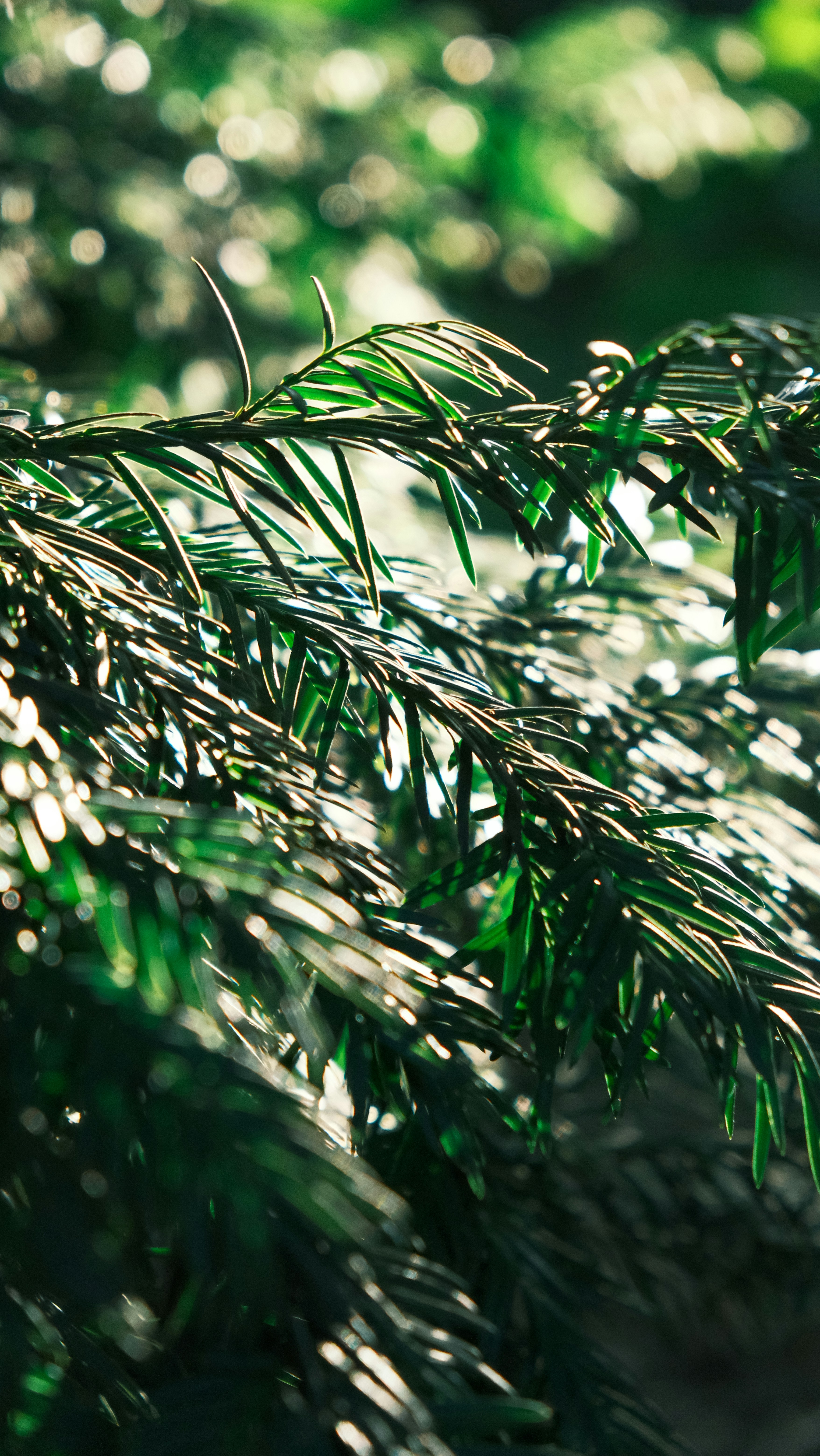 Photo by junyang0317