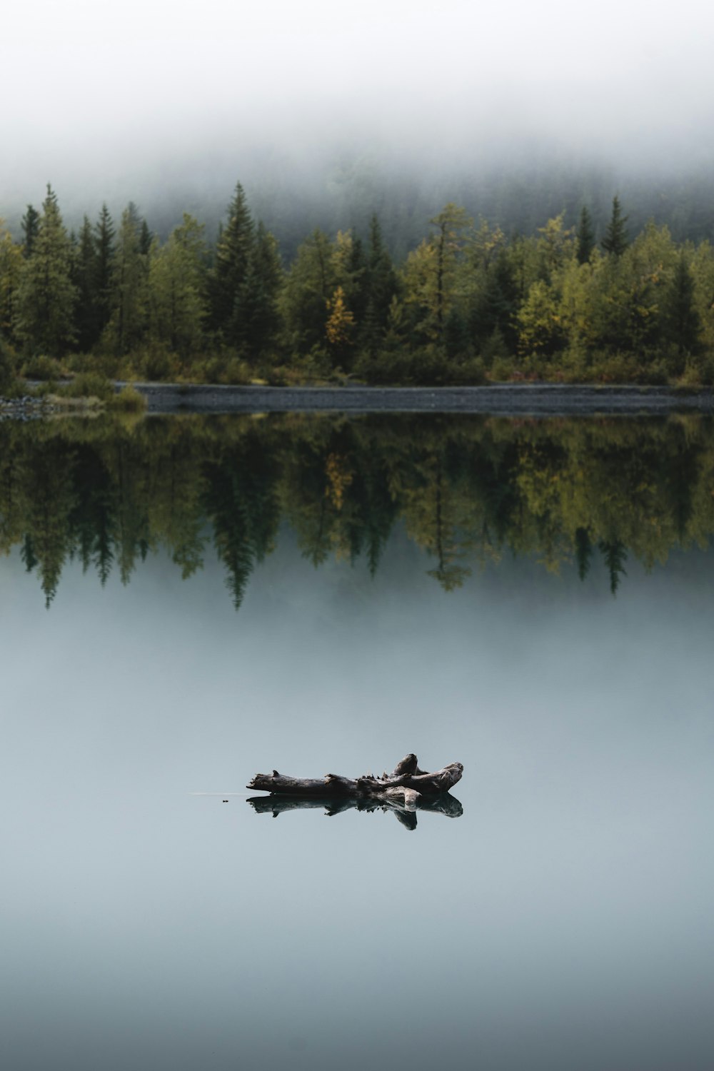 a lone boat floating on a lake surrounded by forest