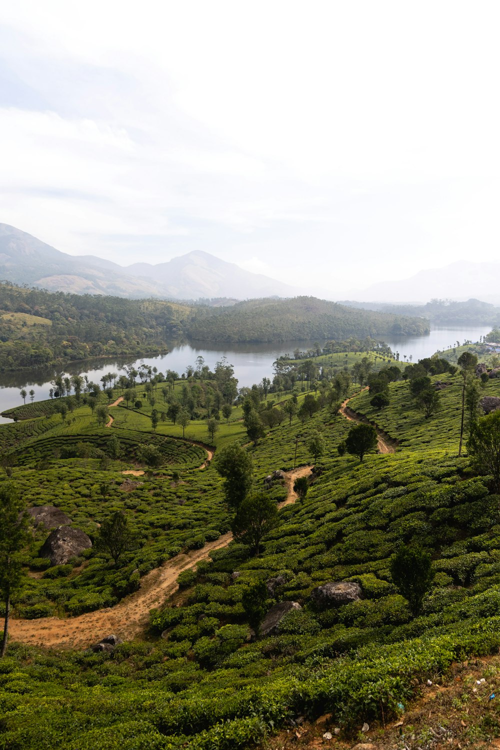 a lush green hillside with a lake in the distance