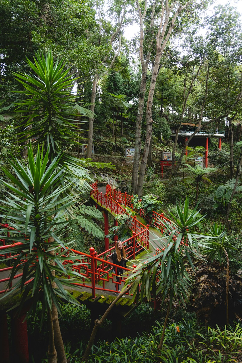 a red bridge in the middle of a forest