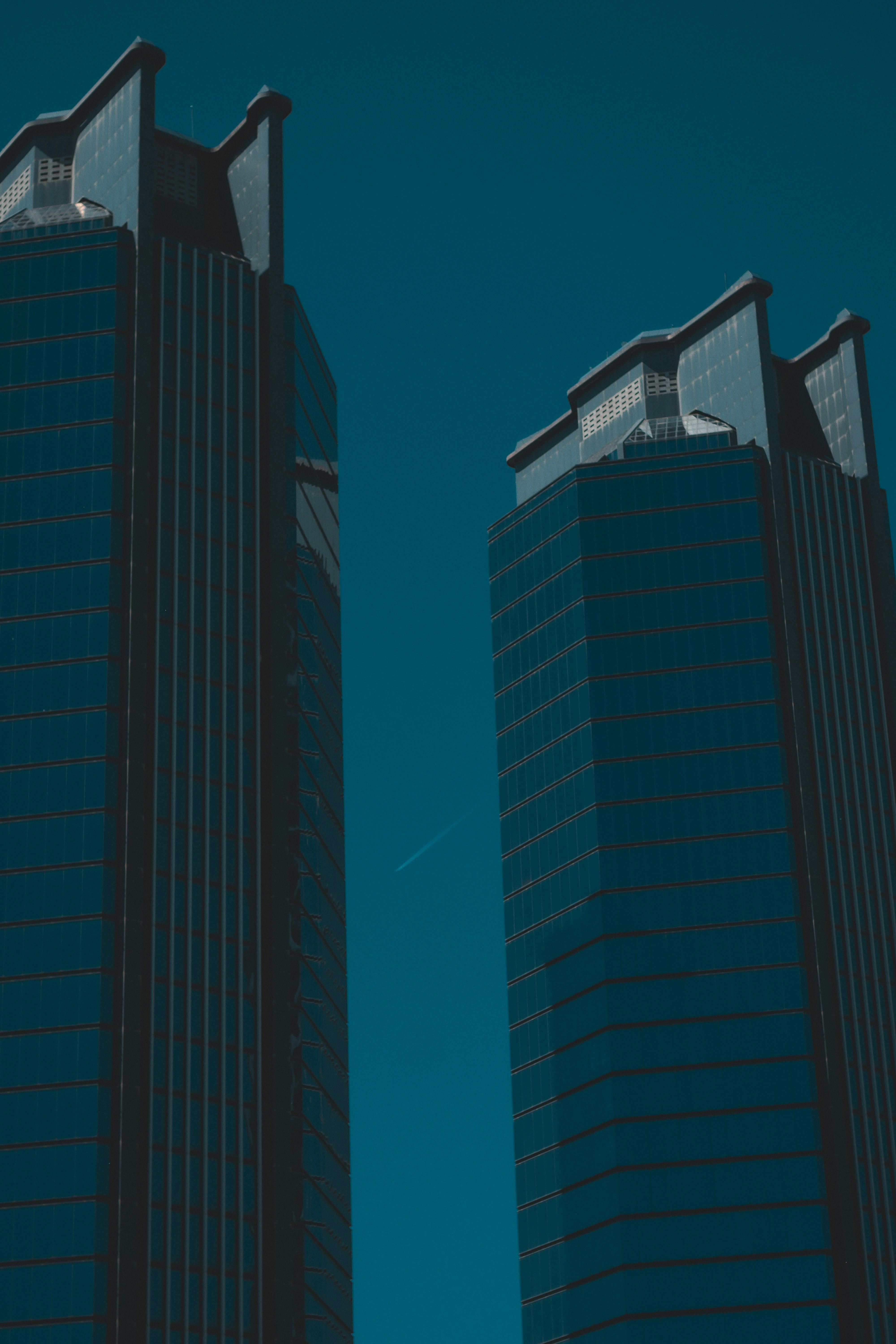 Photo by amirreza_momennia