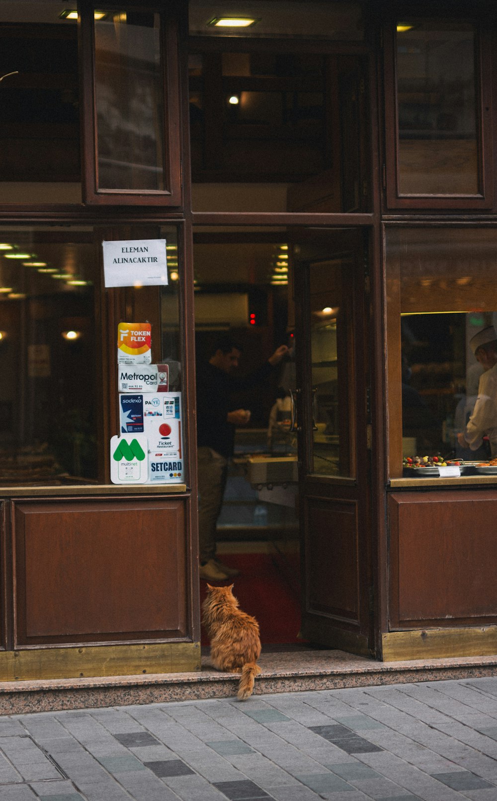 a cat sitting on the sidewalk in front of a store