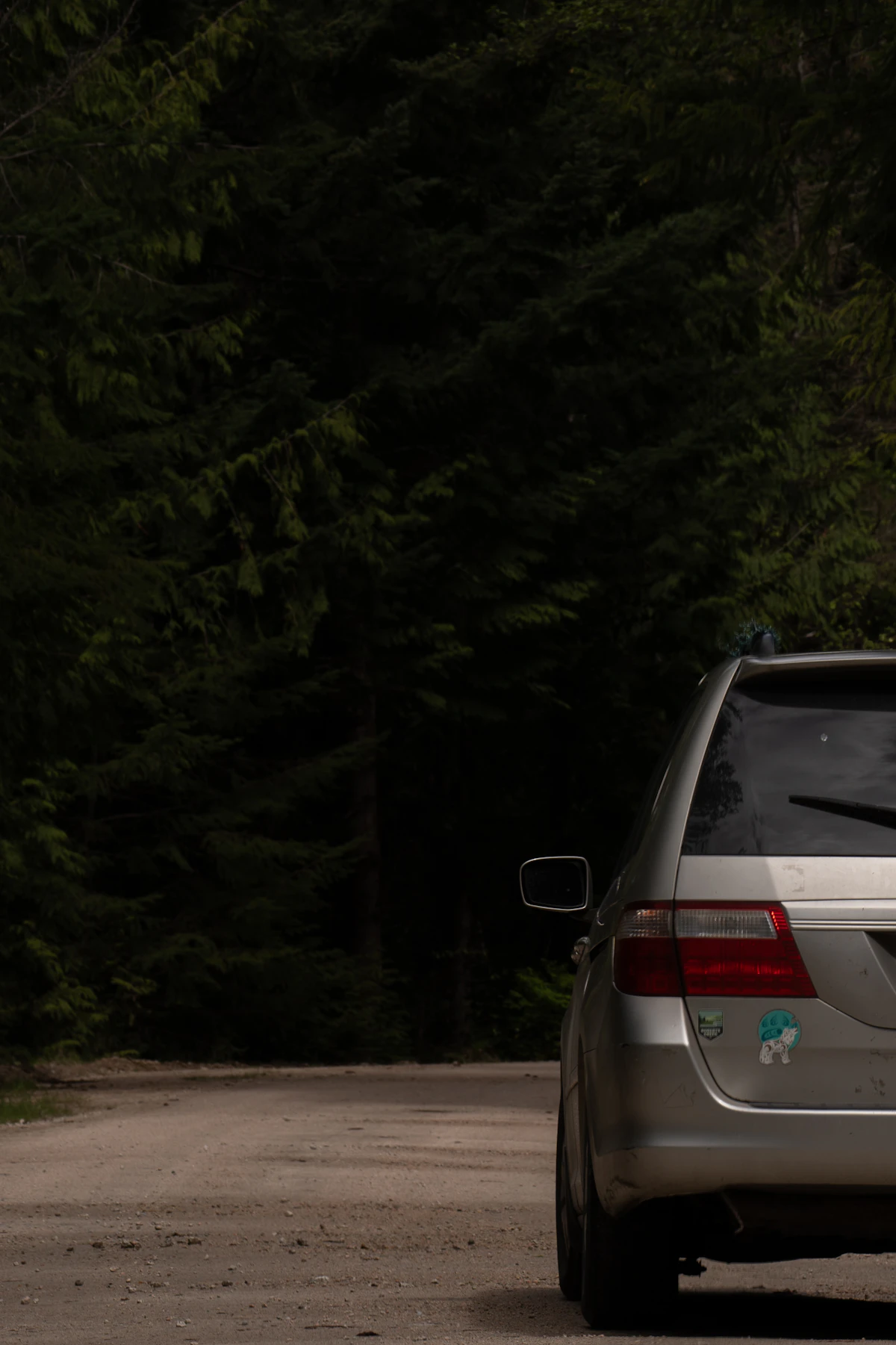 Silver SUV driving along a forested scenic country road