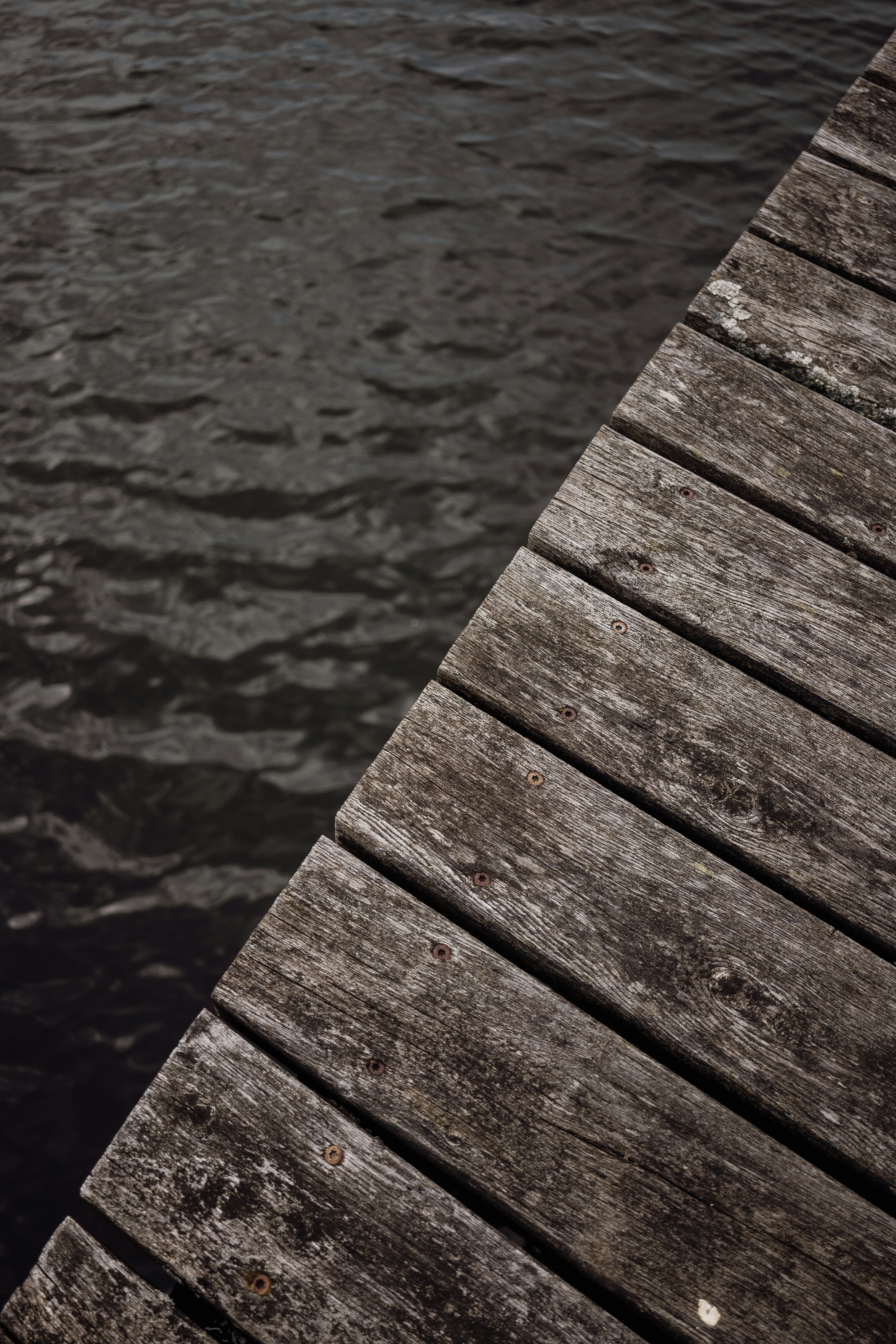 Photo by karthickgislen