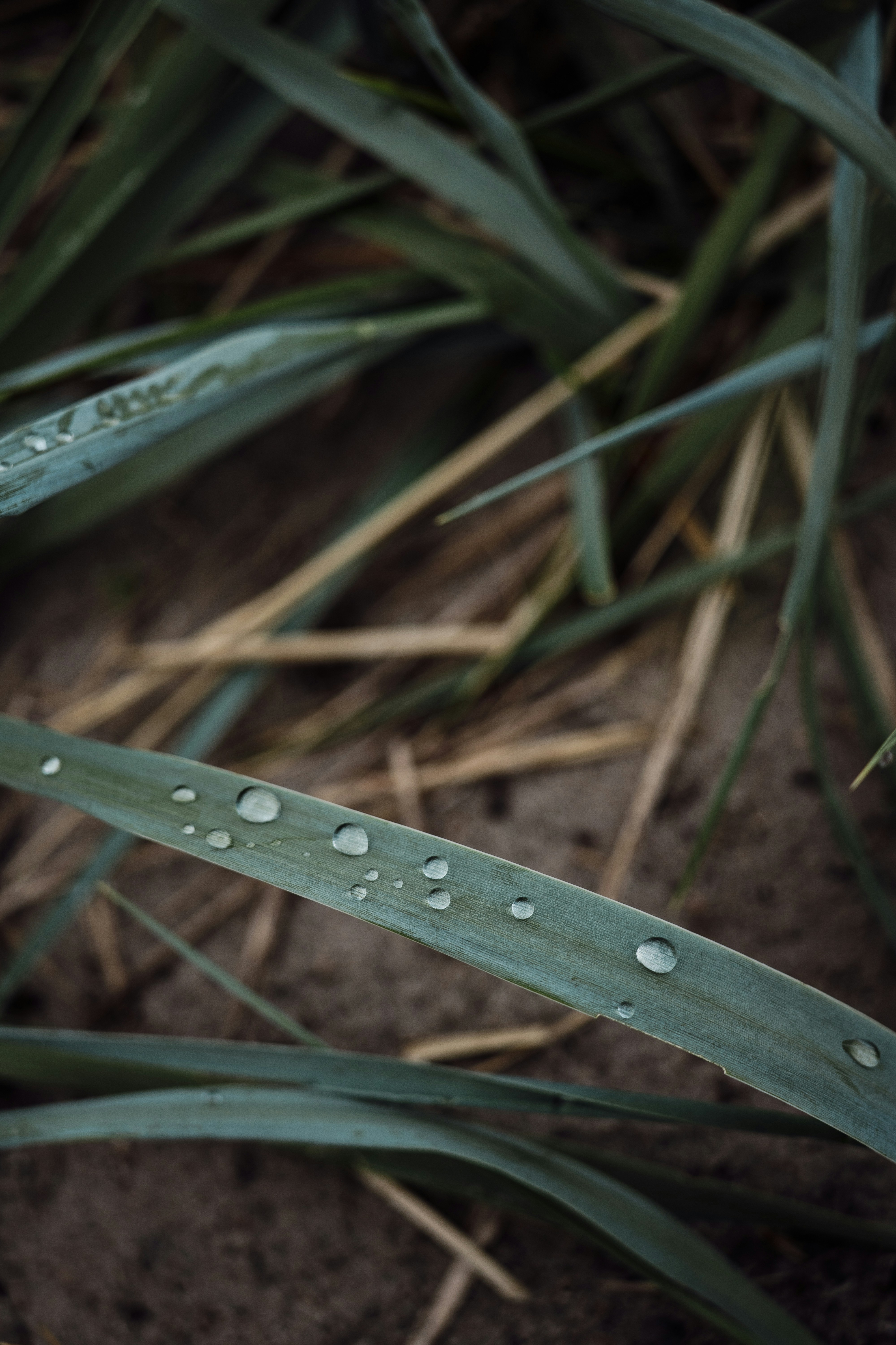 Photo by karthickgislen