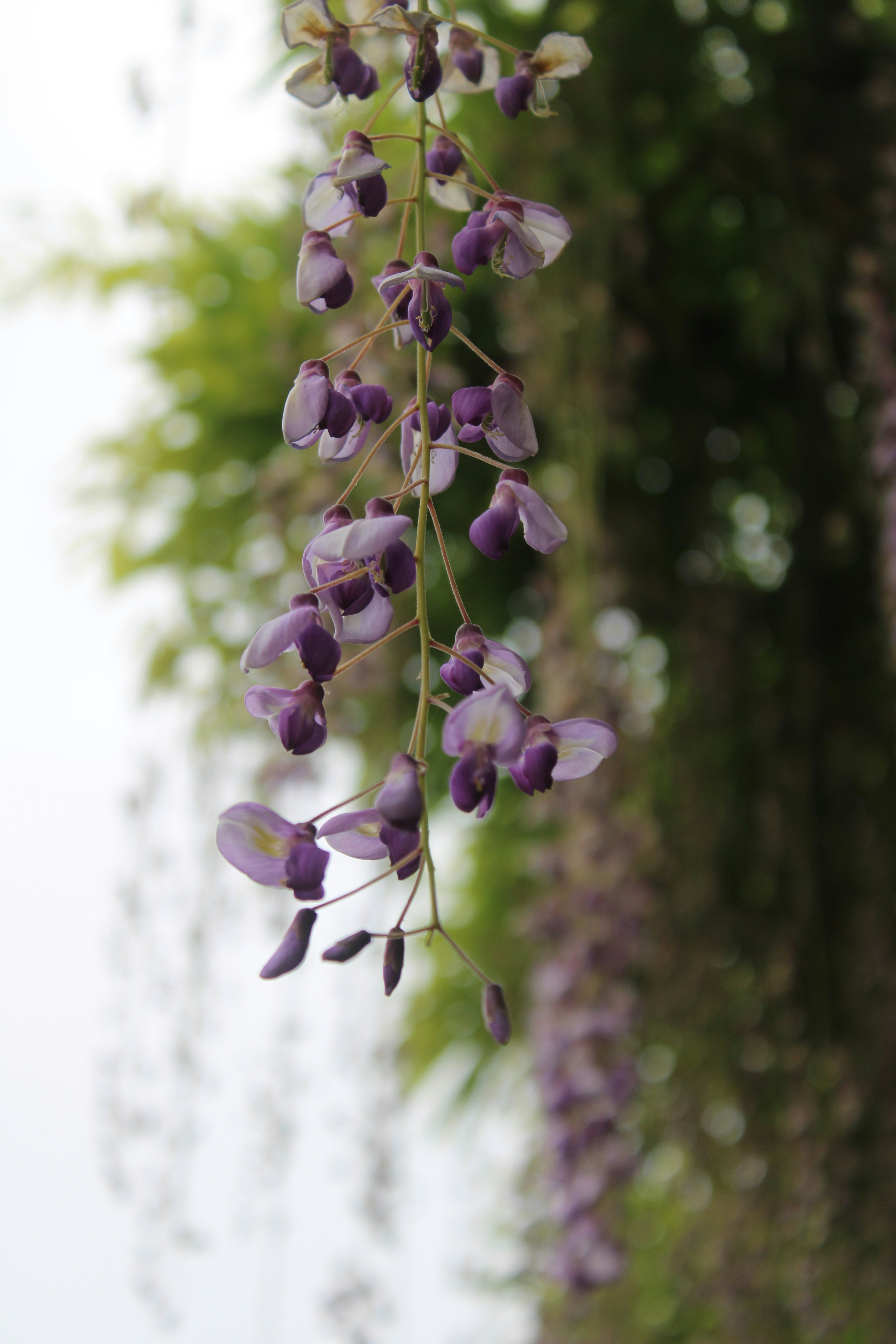 Photo by ramesh_aran