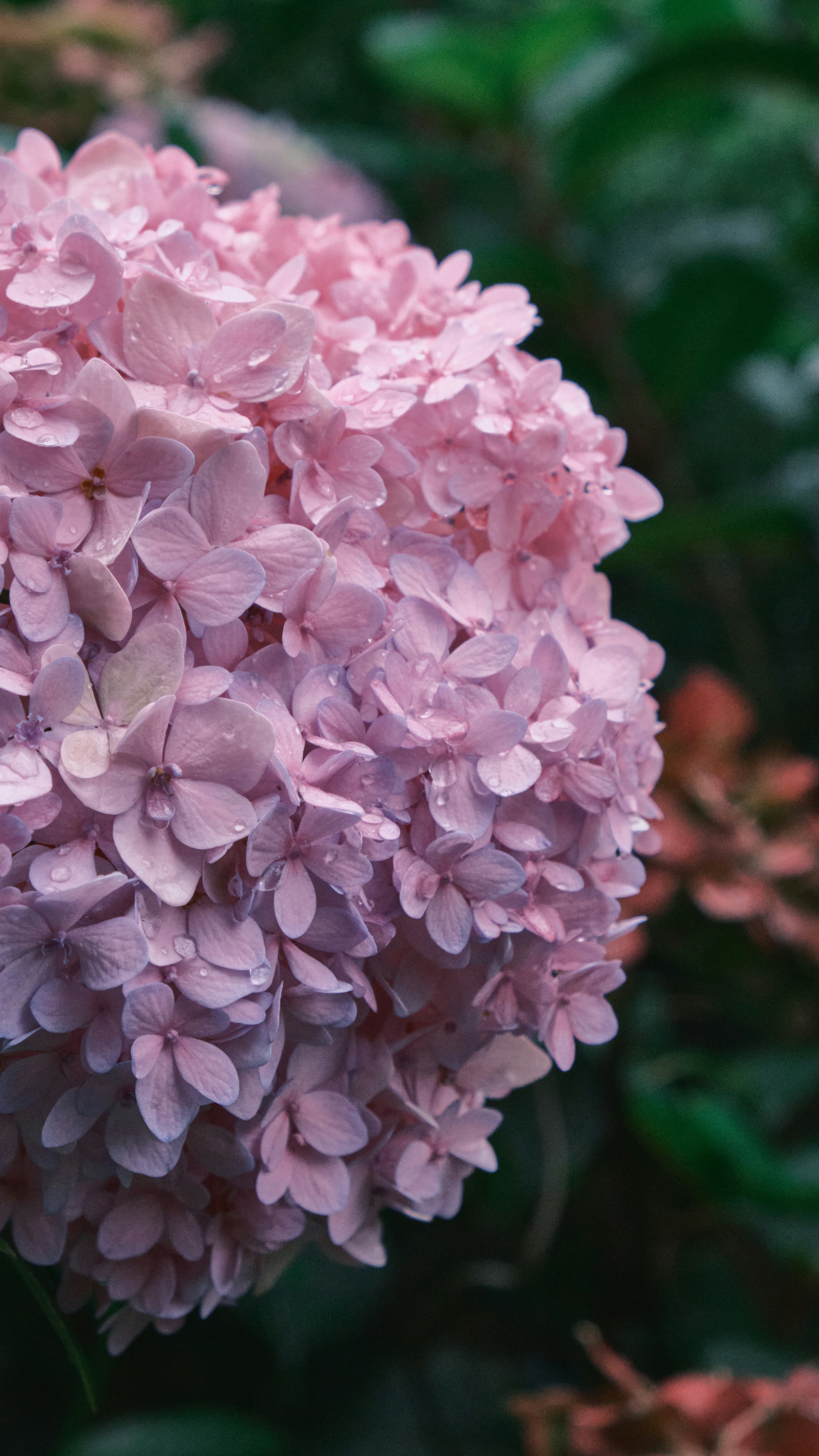 Photo by junyang0317