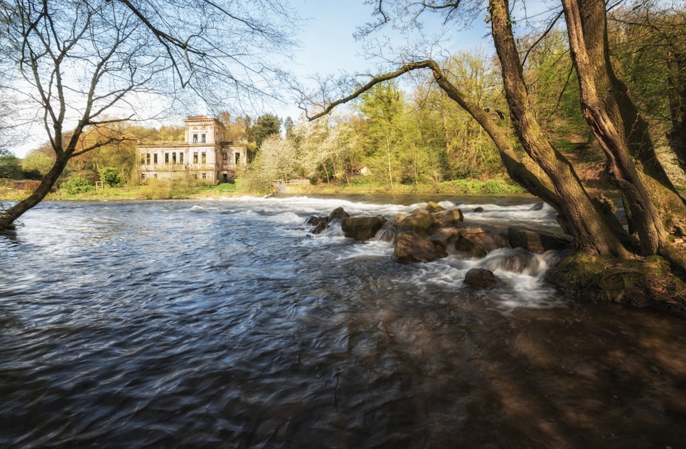 a river running through a lush green forest