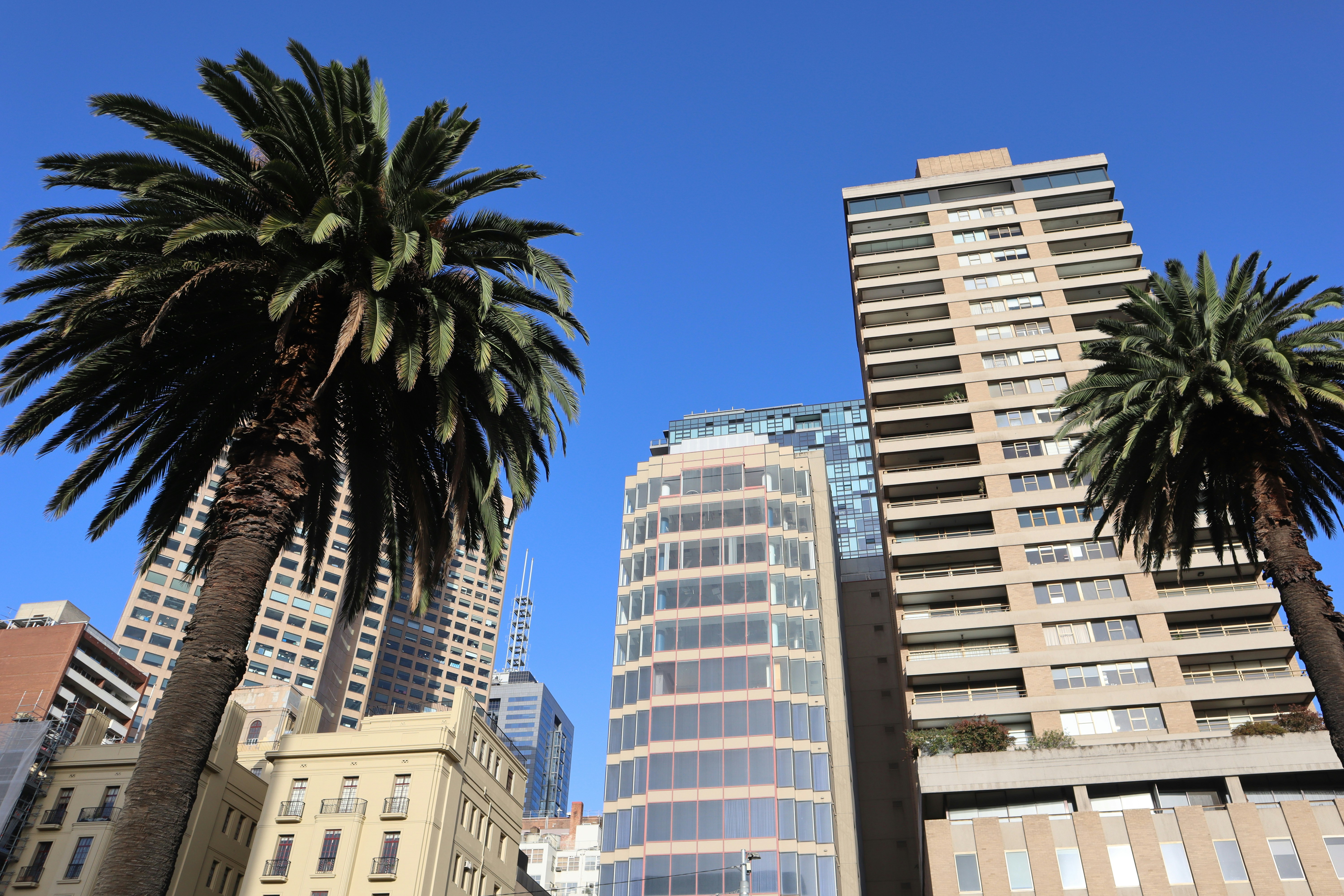 Photo by joyfulfrugalista