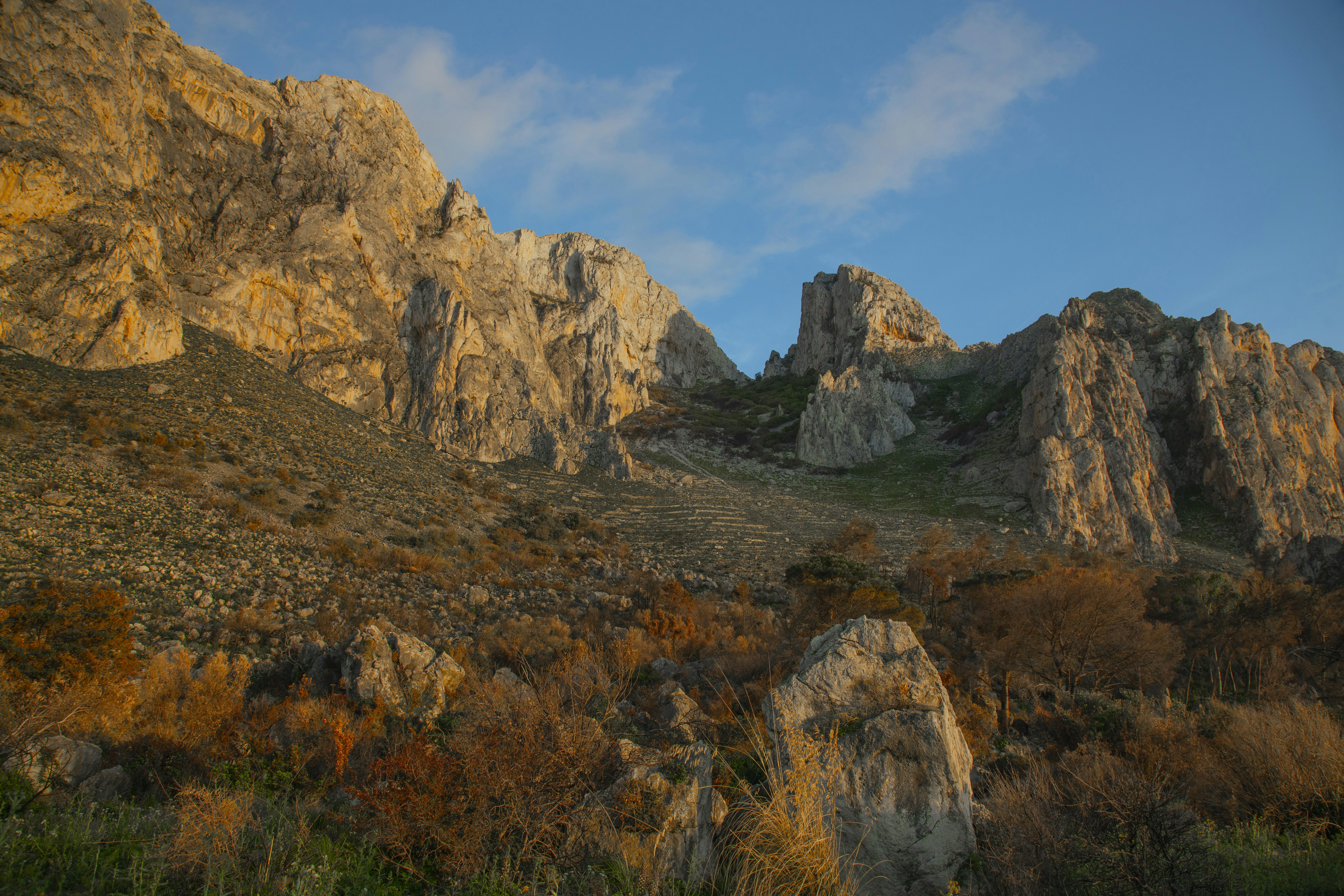 Photo by jddartphotographer