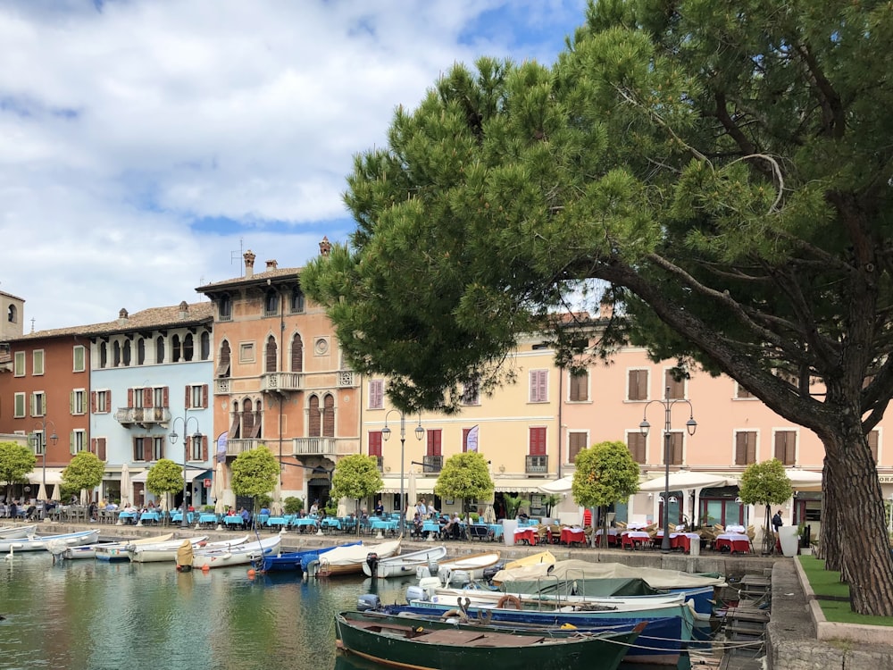 a group of boats sitting in a harbor next to buildings