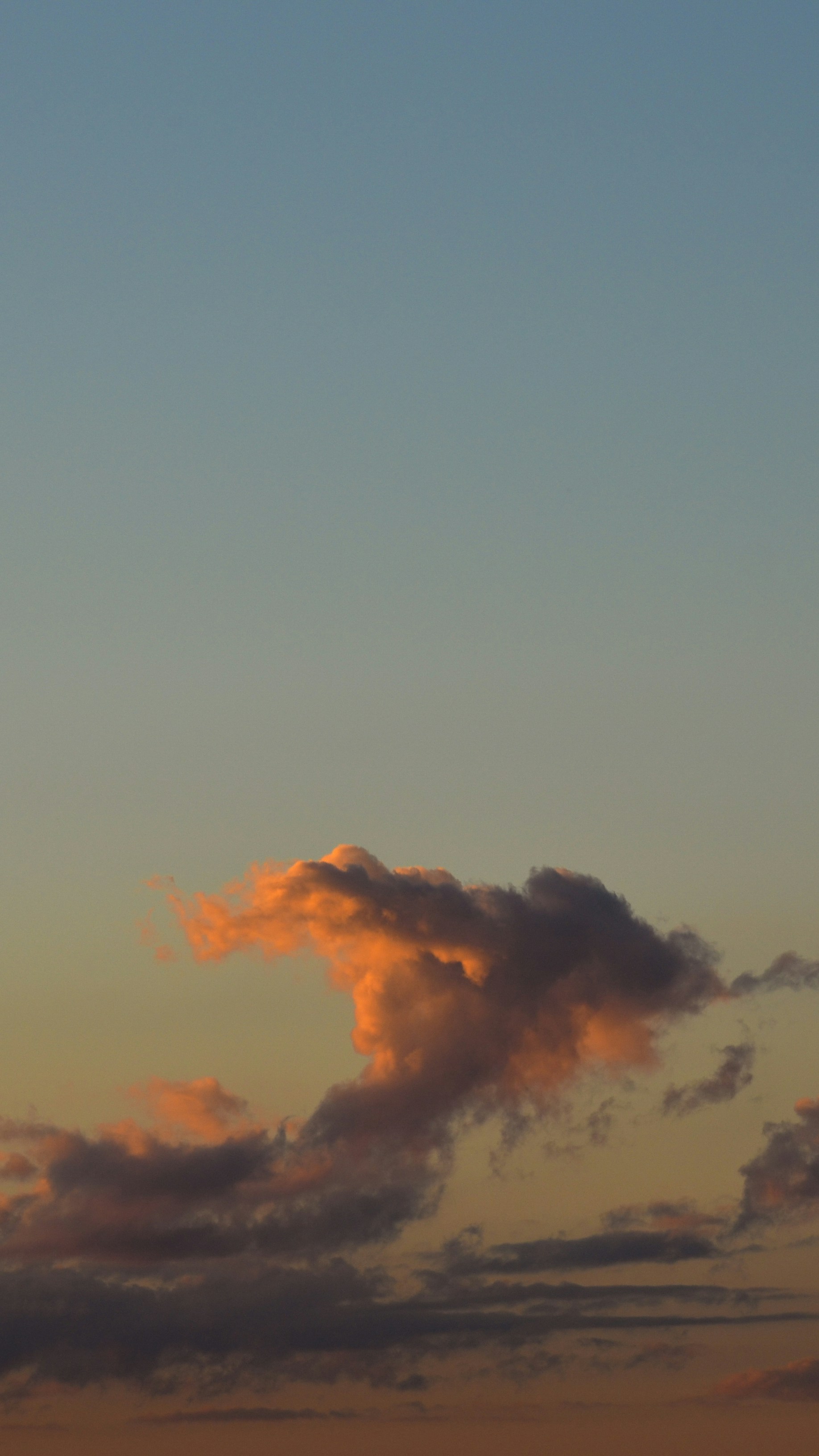 Photo by henry_moellers1901