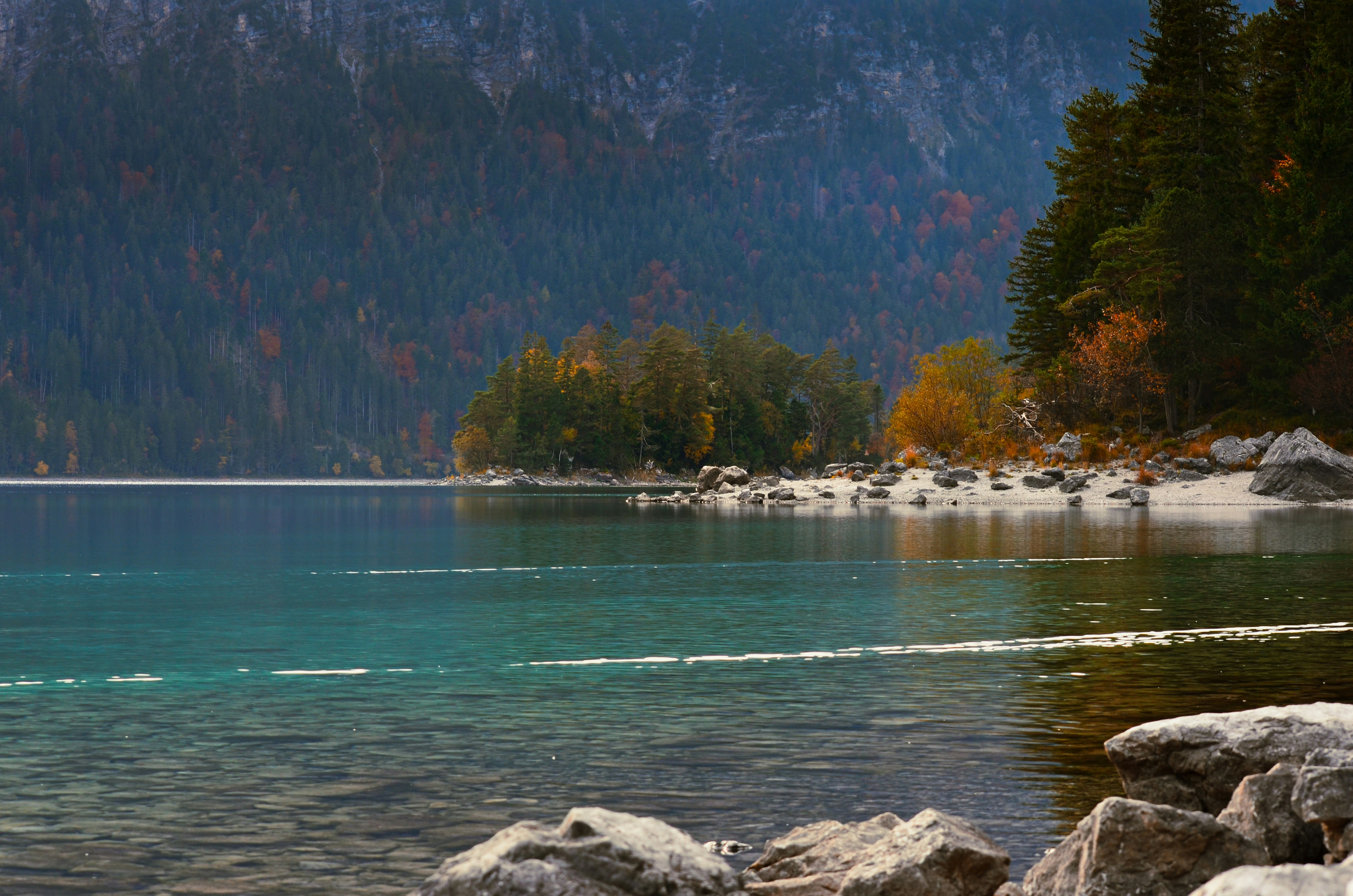 Photo by henry_moellers1901