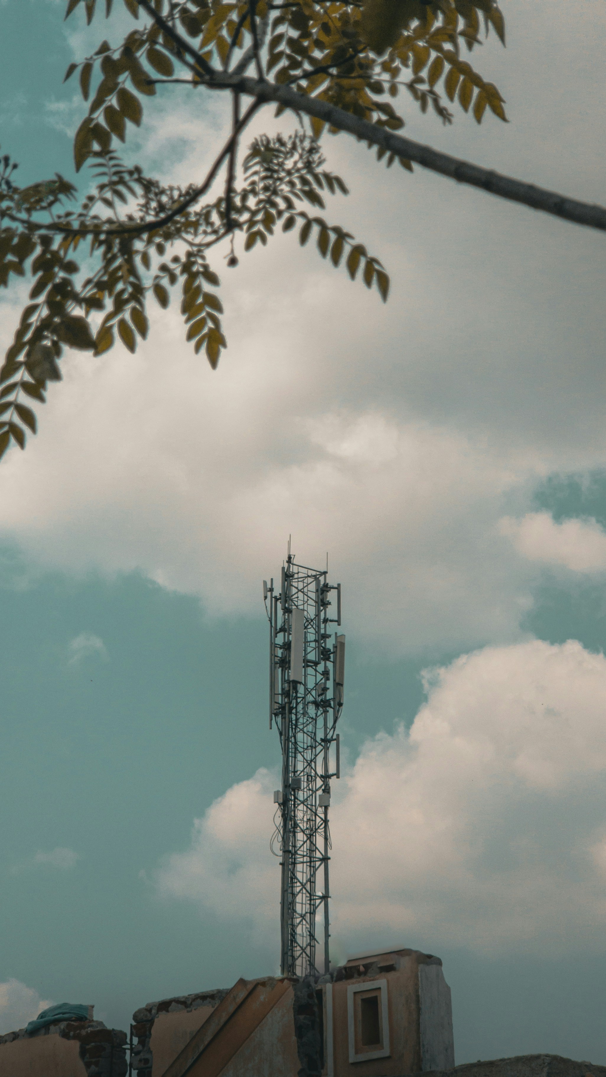 Photo by nishanth_photographer