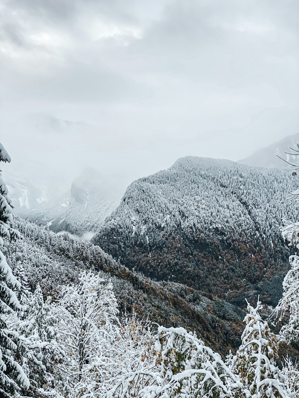 a view of a snowy mountain range with trees in the foreground