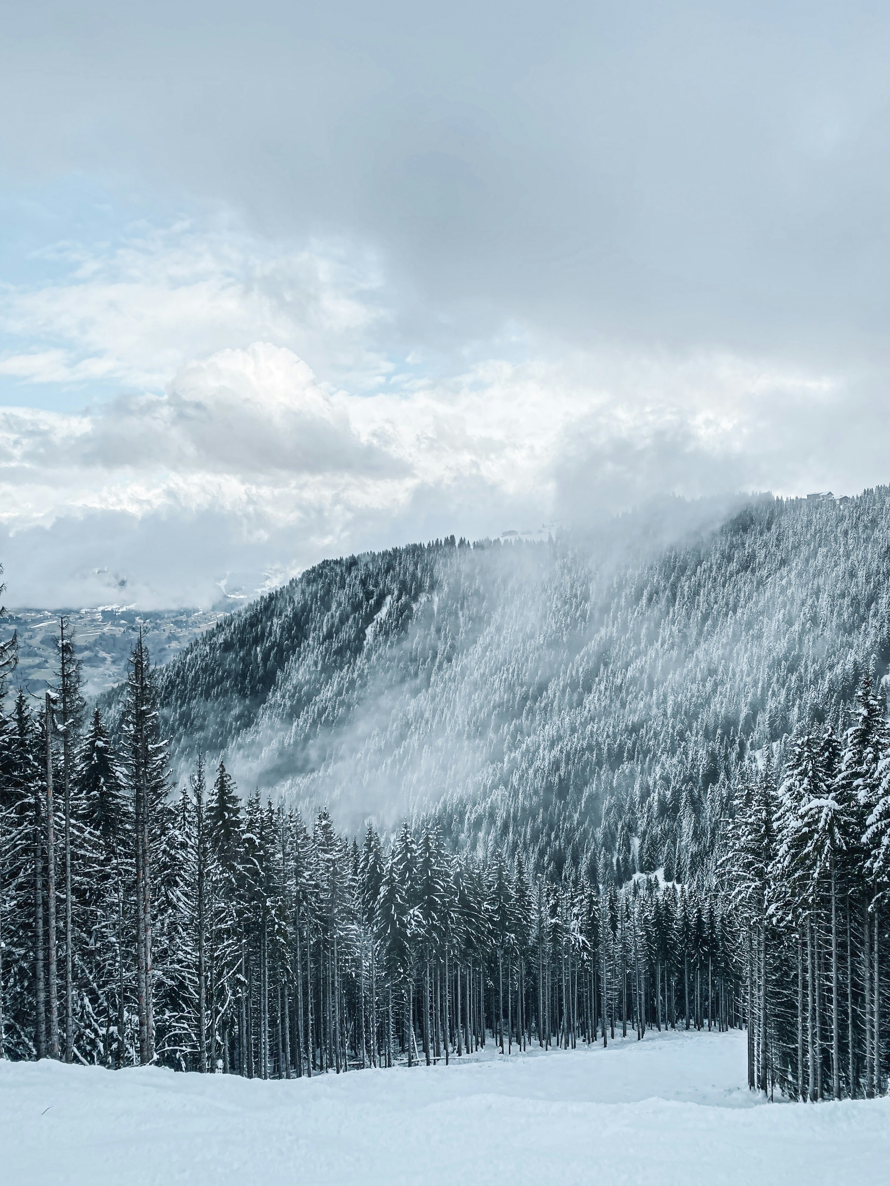 Photo by victor_majoulet