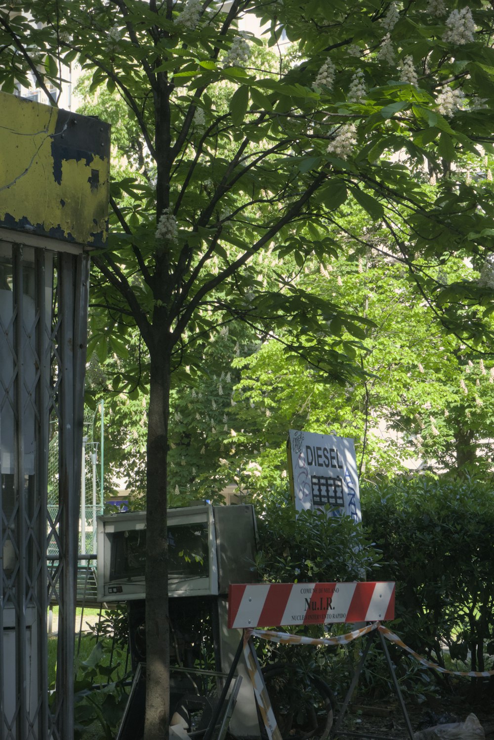 a sign in front of a tree in a park