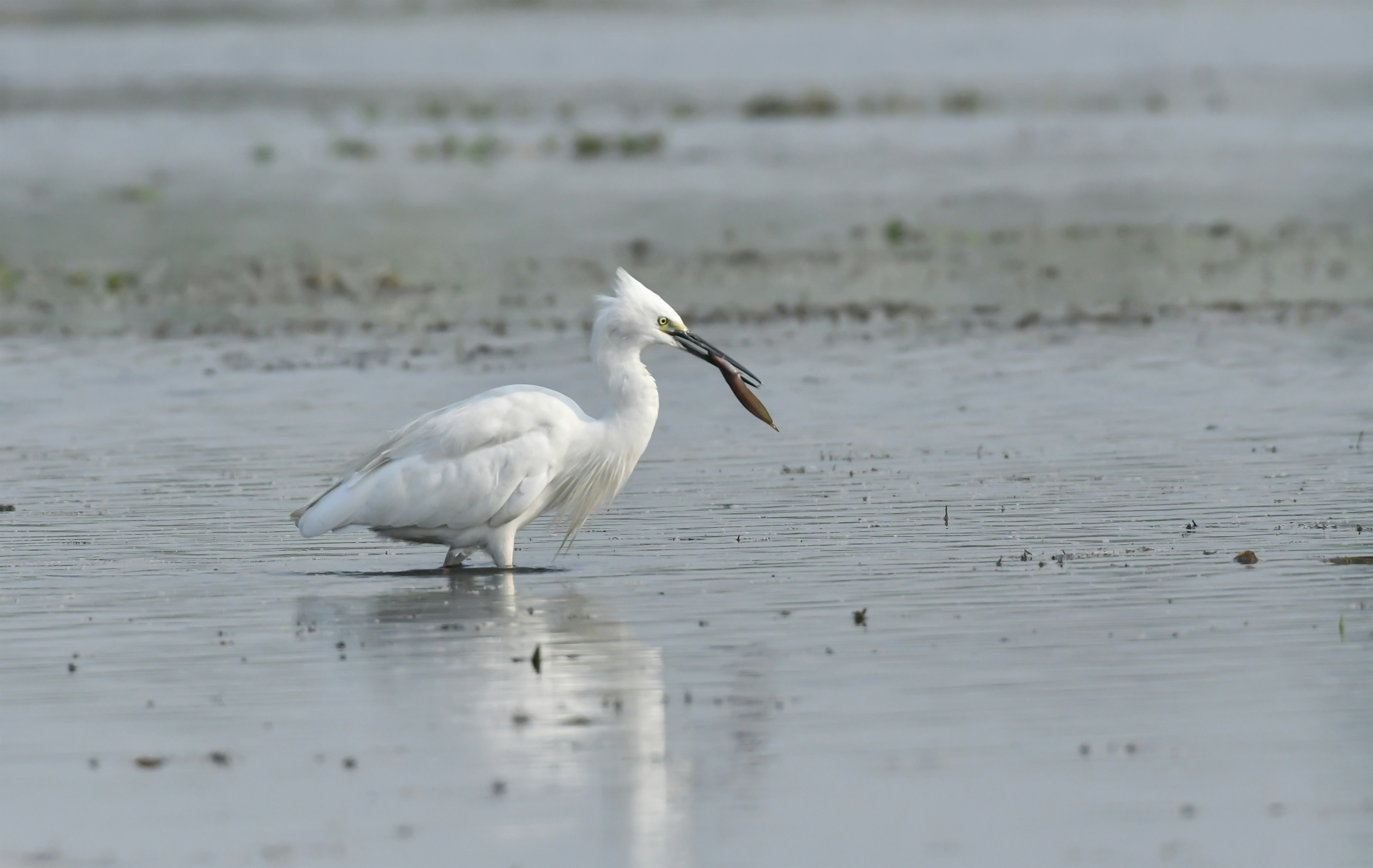 Photo by mhphotography13