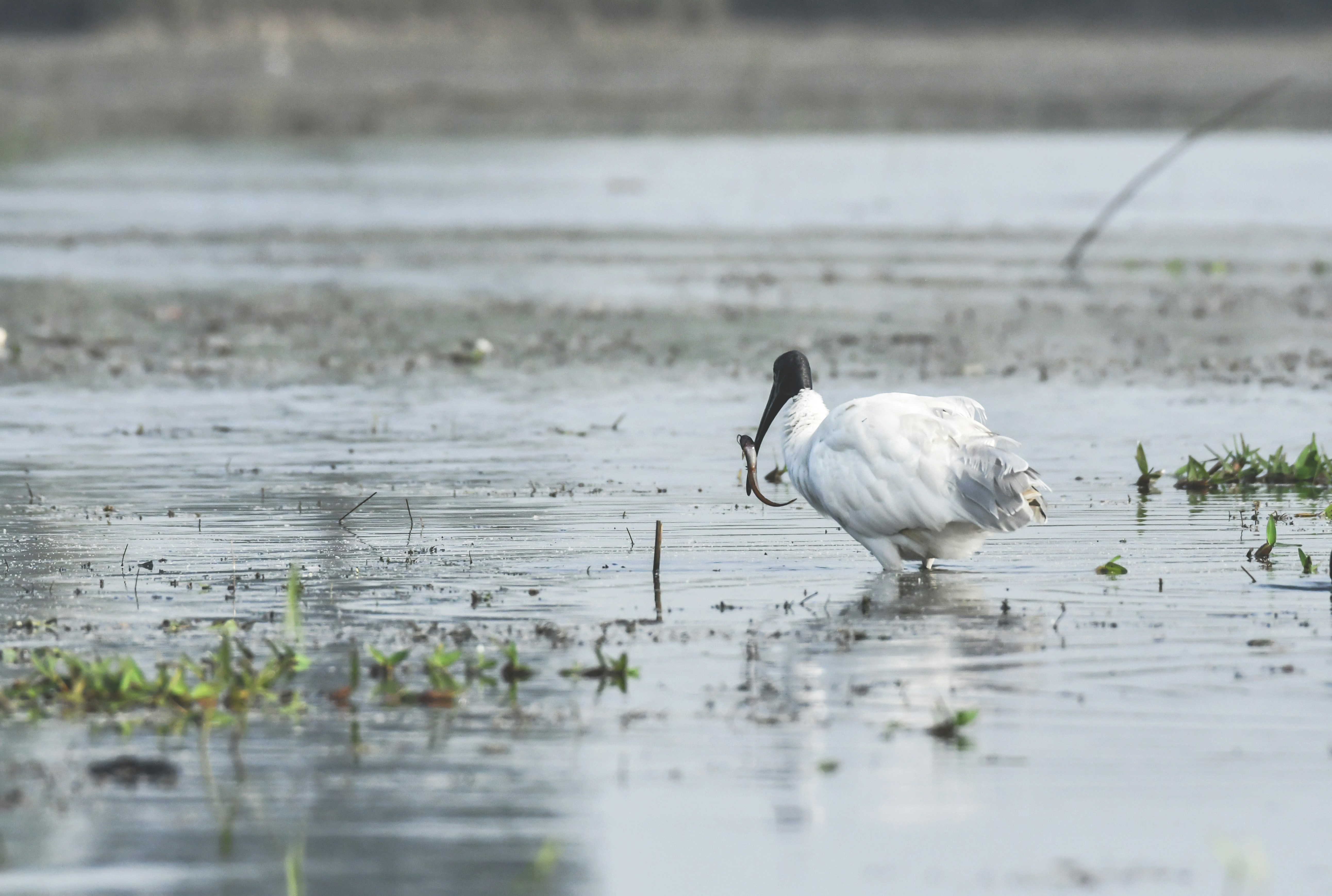 Photo by mhphotography13