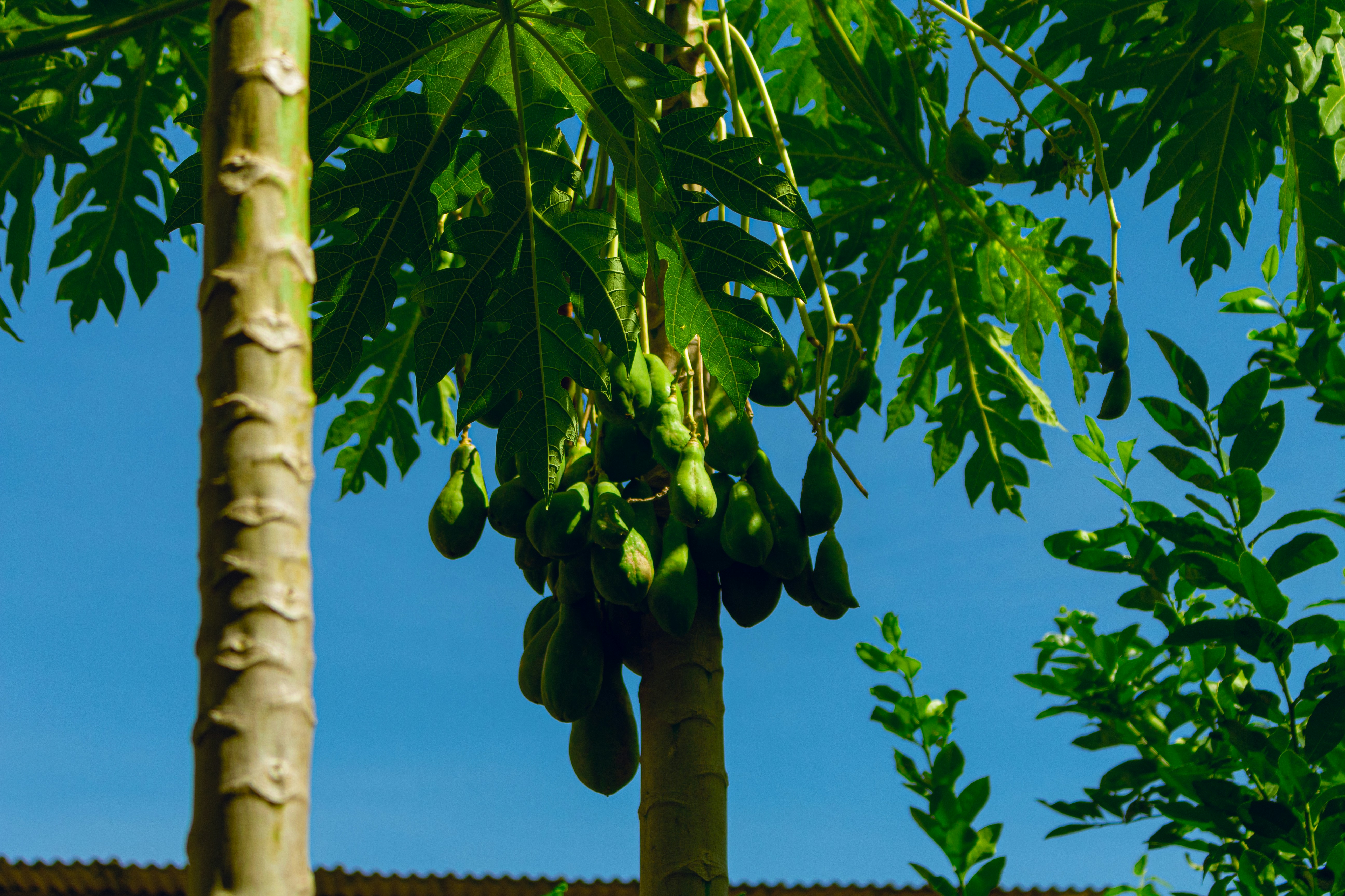 Photo by romariorogesfotografia