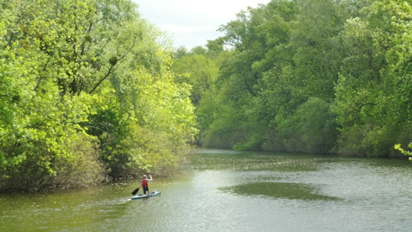 Paddles & Poles - Kayak Fishing for 2