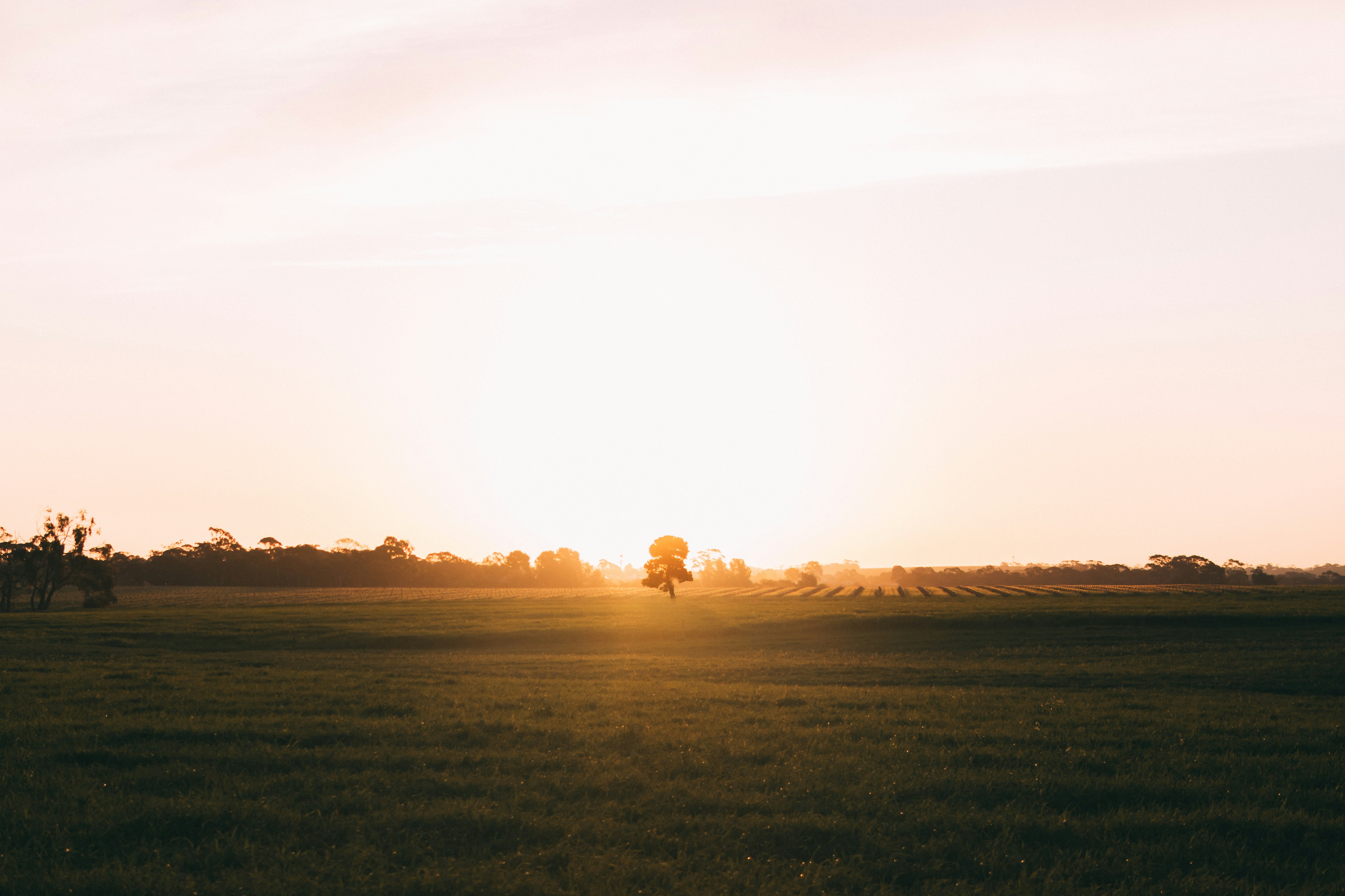 Tanunda, South Australia