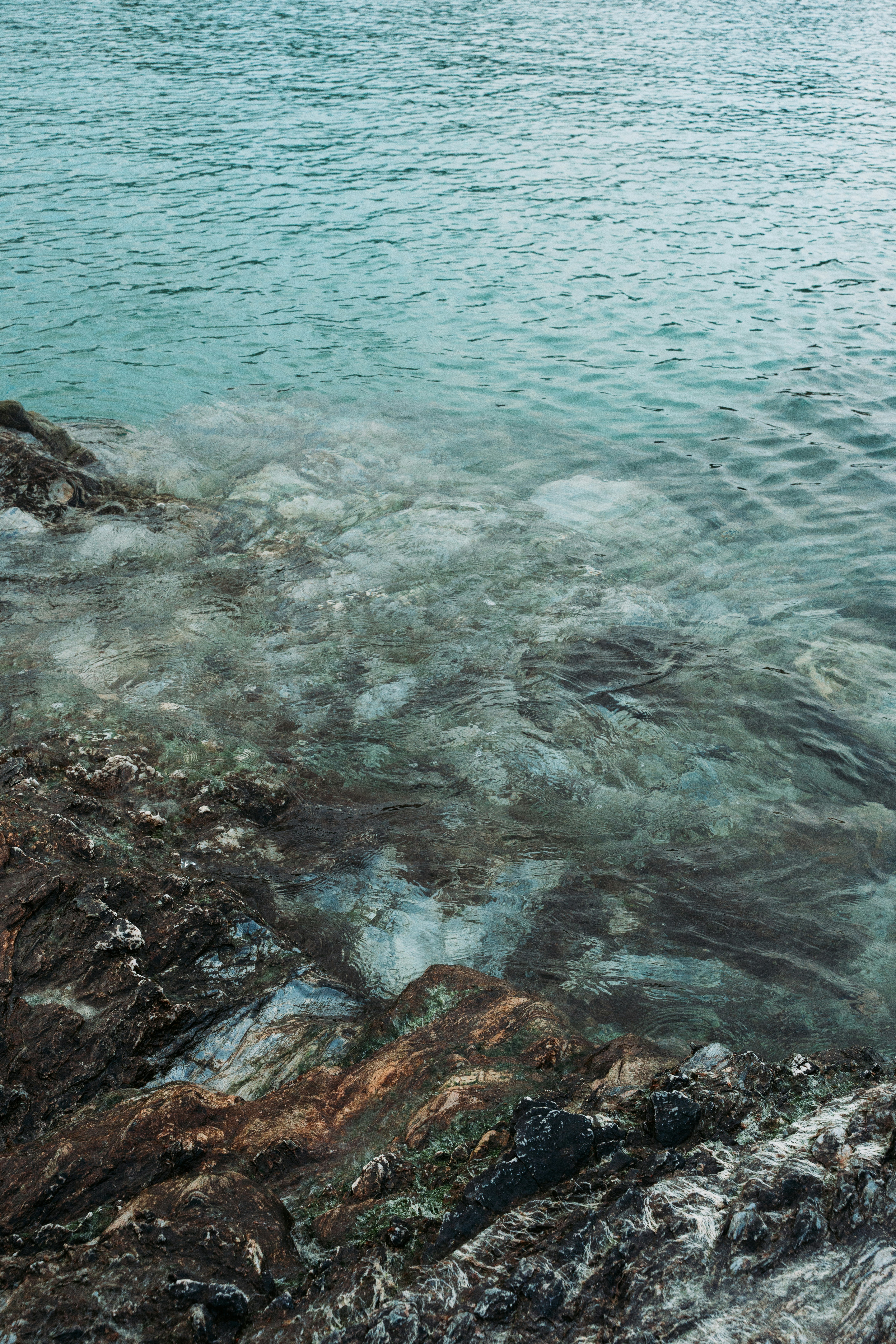 Photo by sophiegerrie