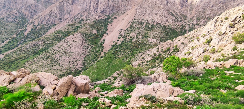 a view of a rocky mountain range with trees and bushes