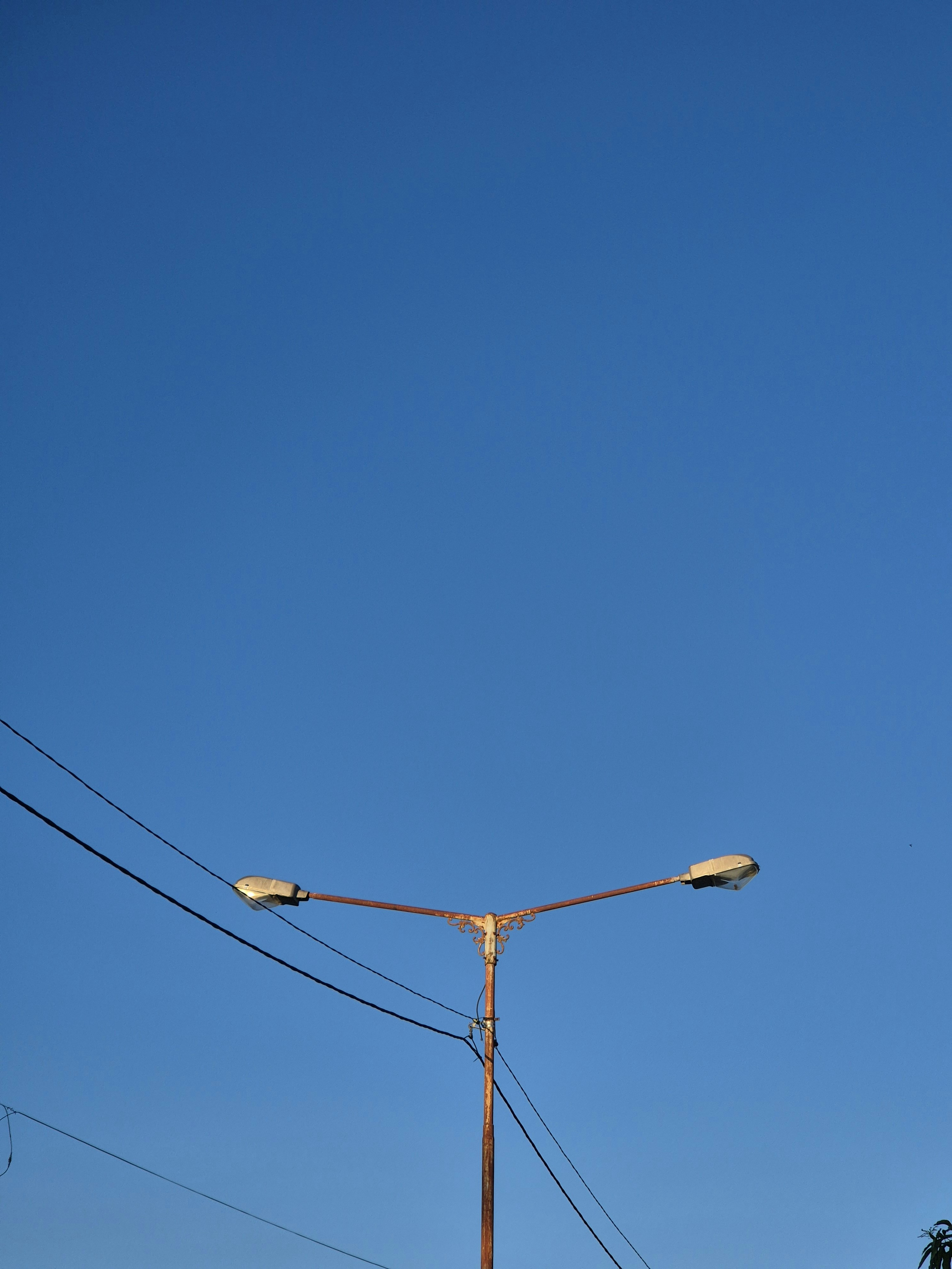 Photo by riza_alexandria