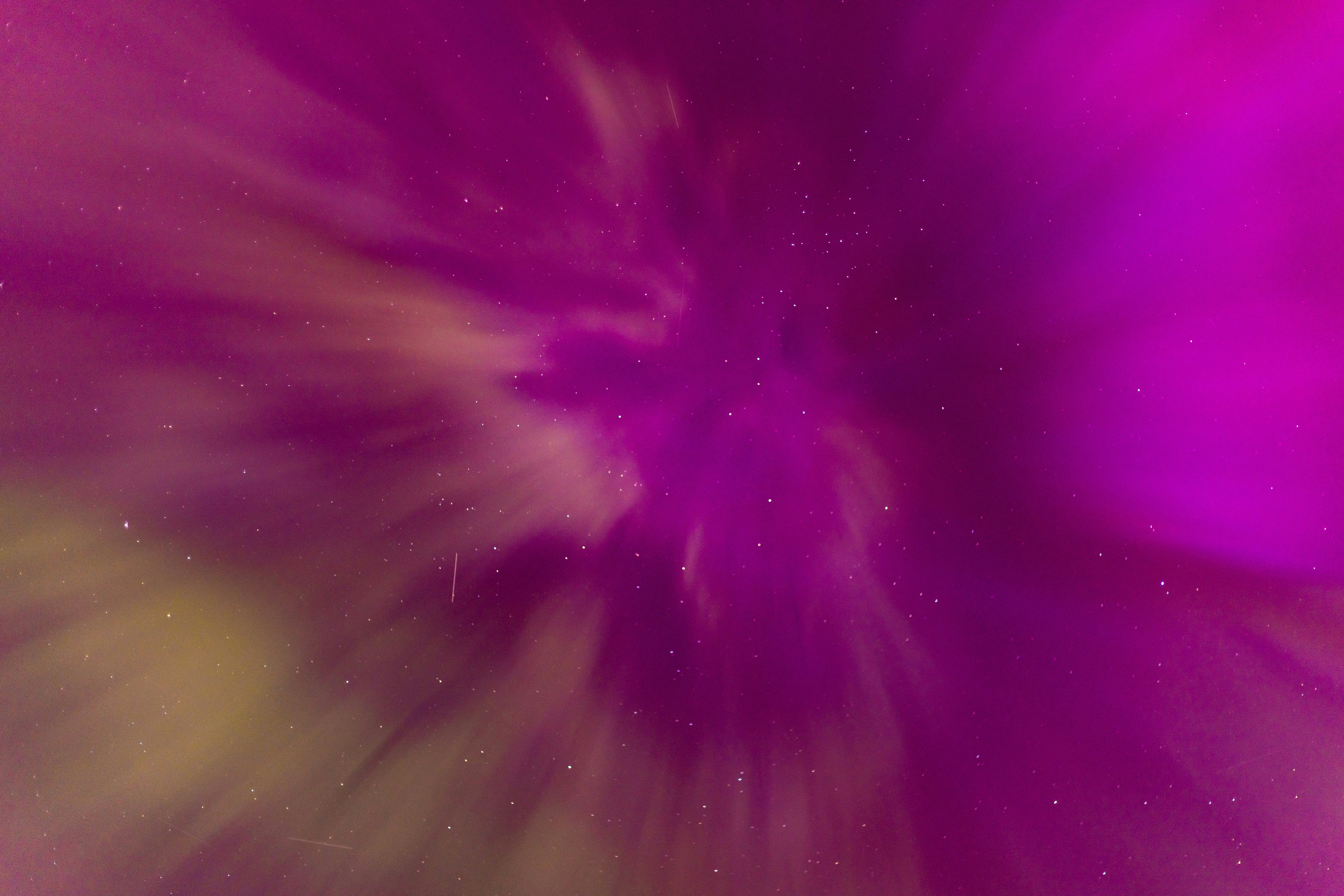 Photo by son_of_media