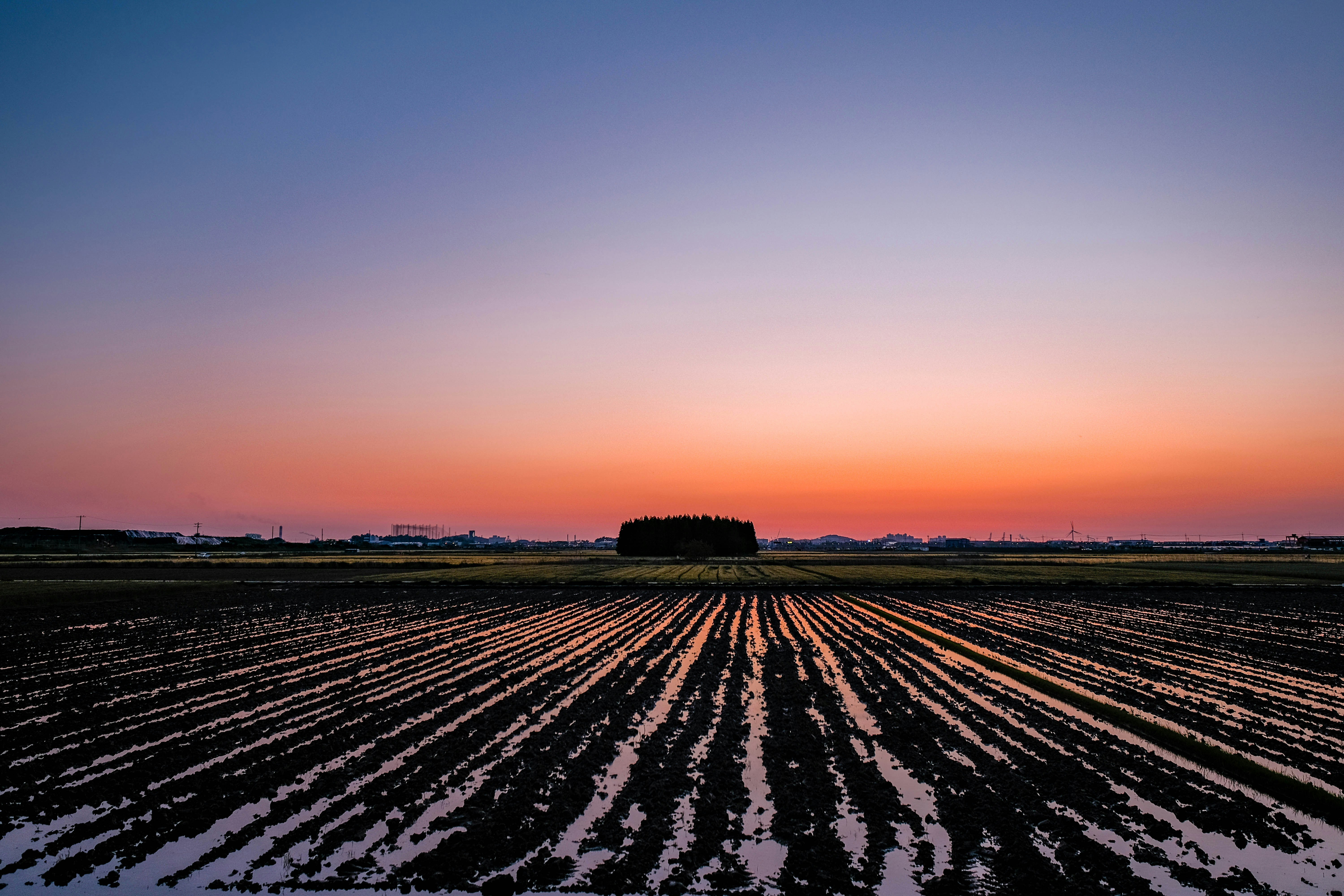 Photo by insungpandora