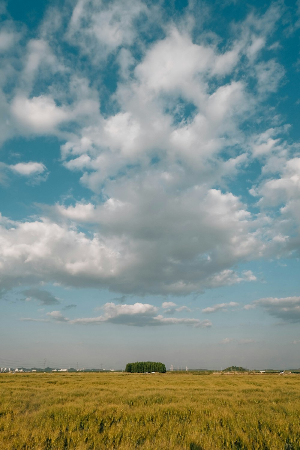 a field of grass under a cloudy blue sky