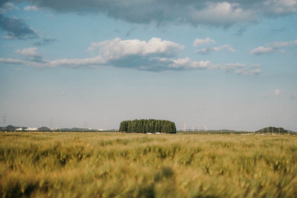 a large field of green grass under a cloudy blue sky